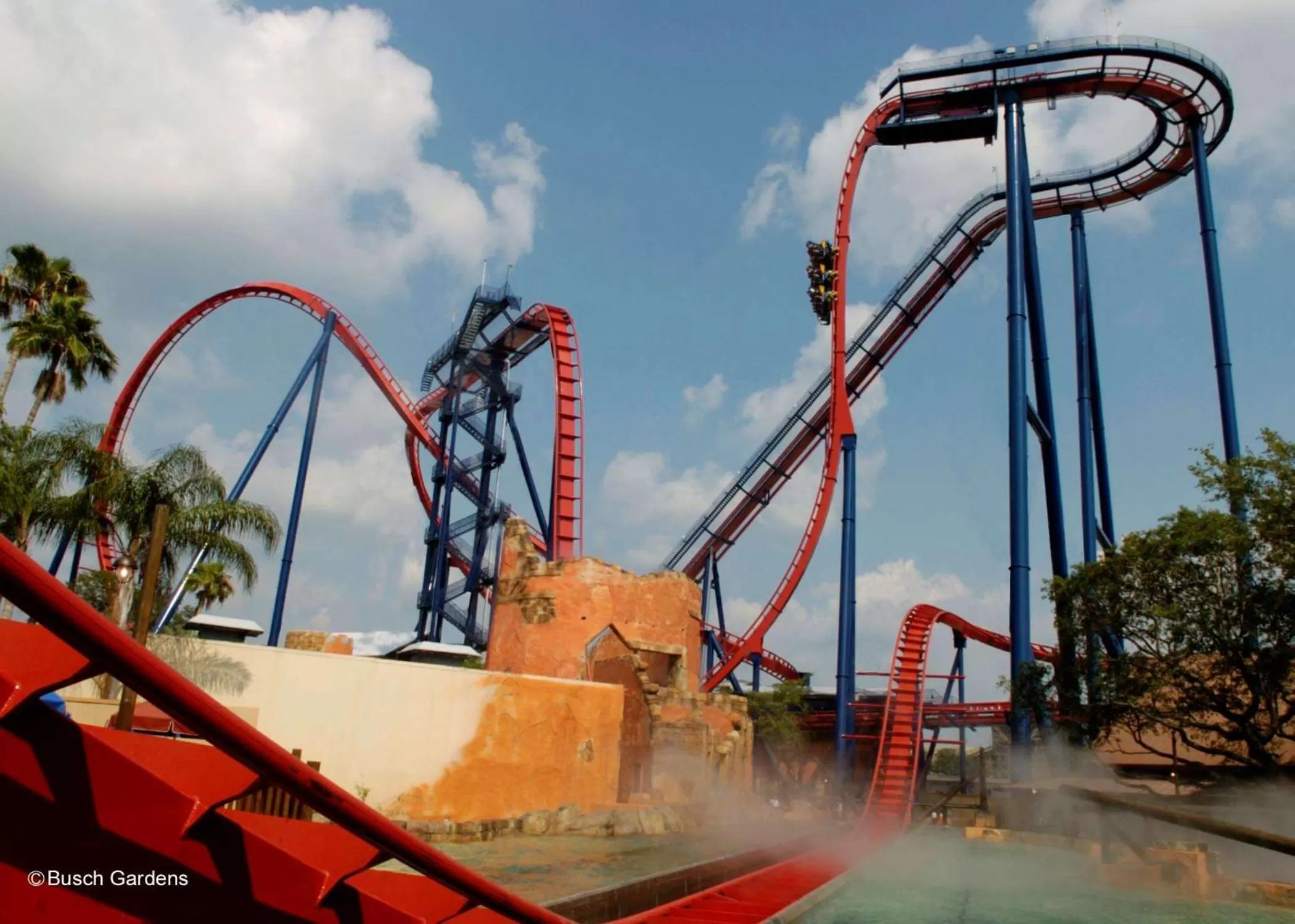 Sports in Embassy Suites by Hilton Tampa USF Near Busch Gardens