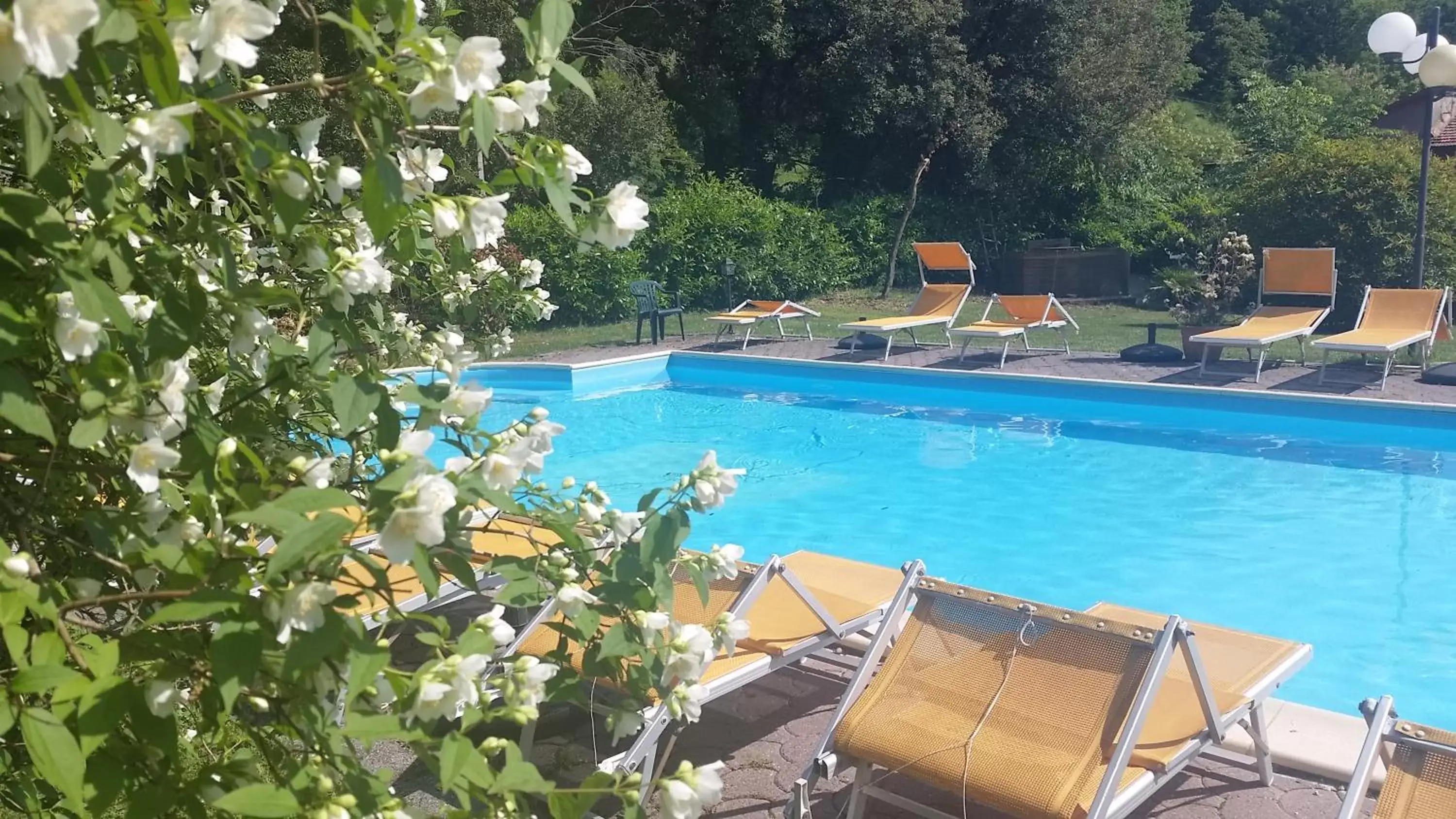 Day, Swimming Pool in Hotel Monti