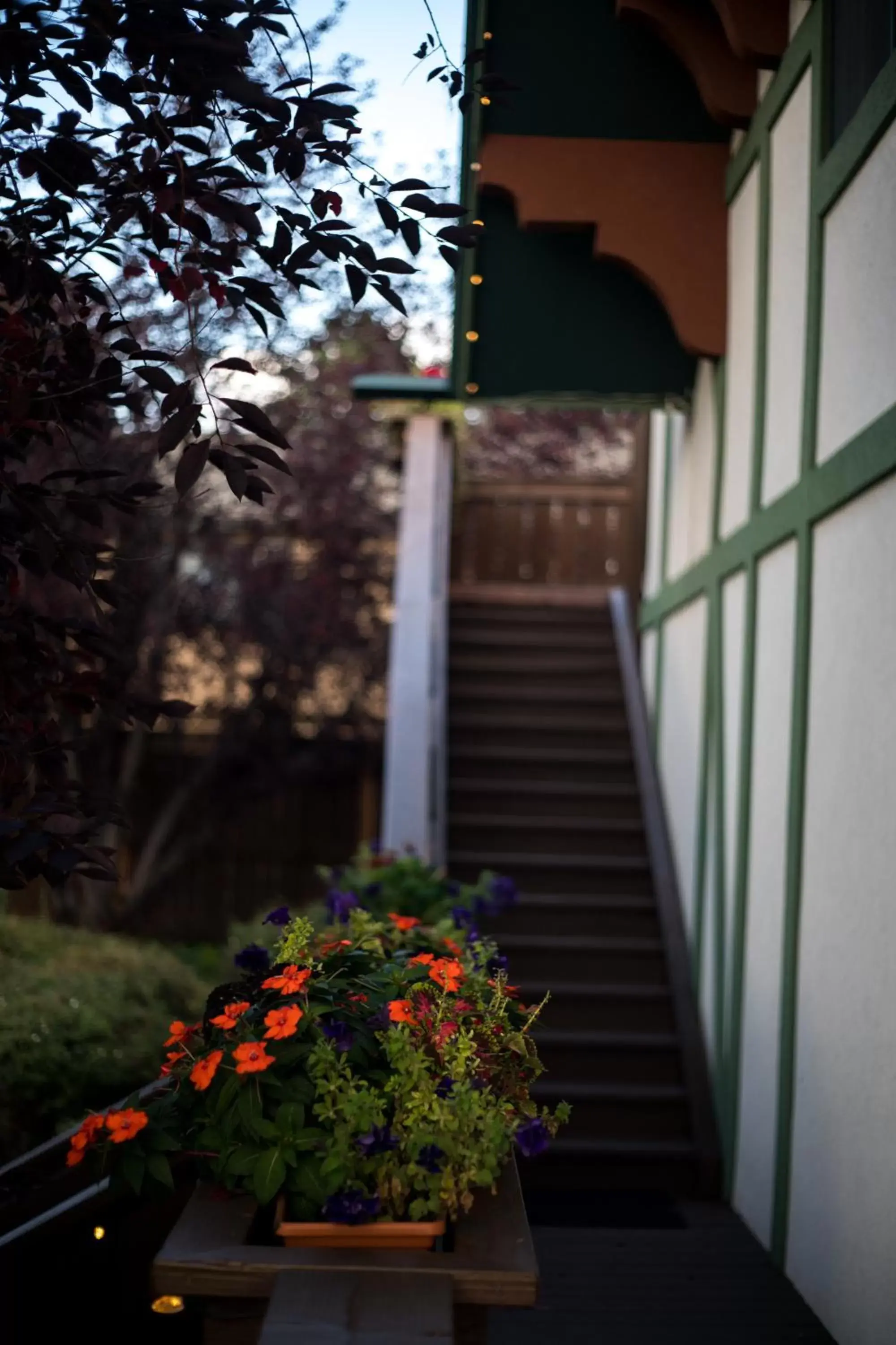 Facade/entrance in Appenzell Inn