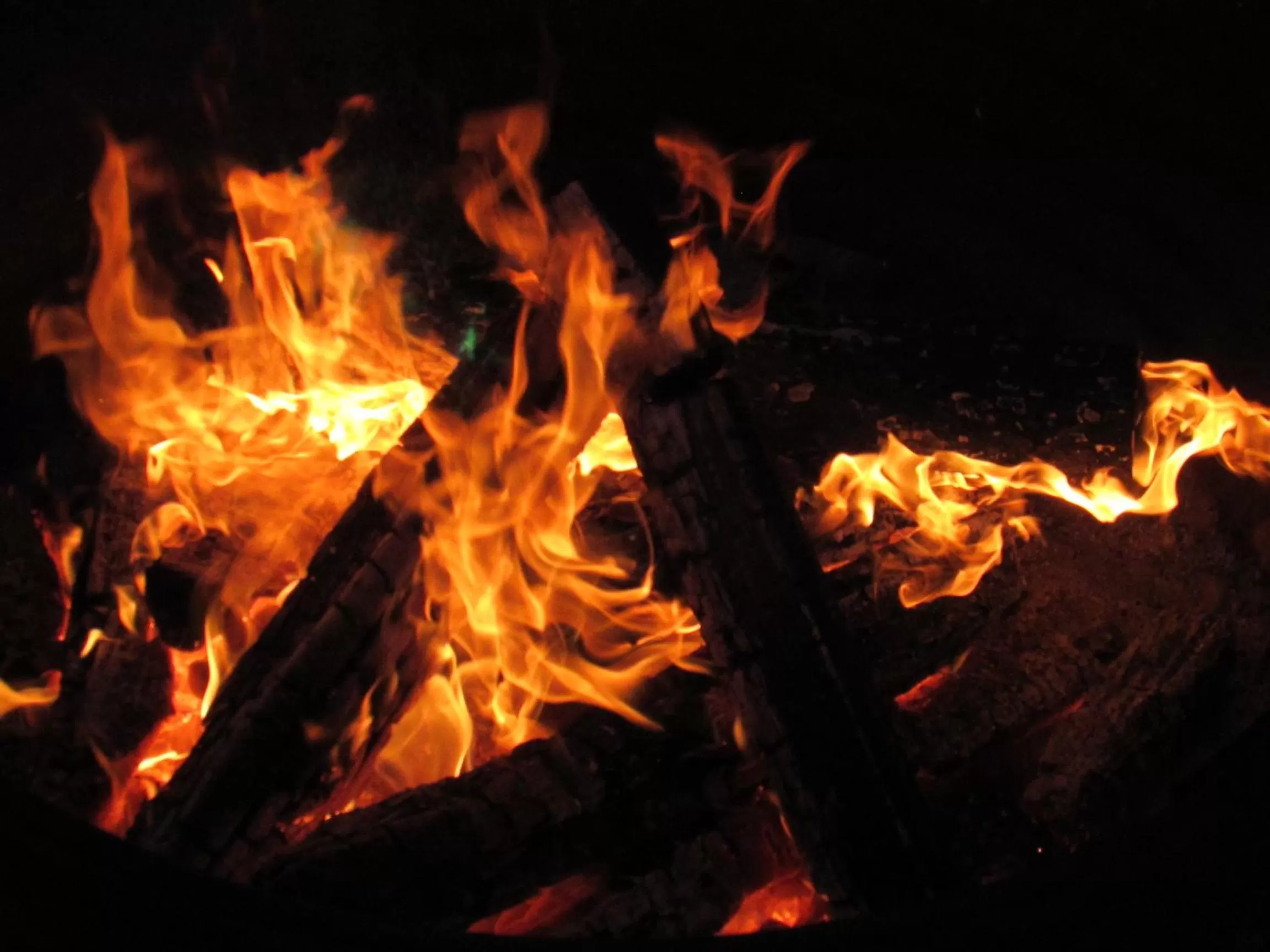 Activities, Evening Entertainment in Best Bear Lodge