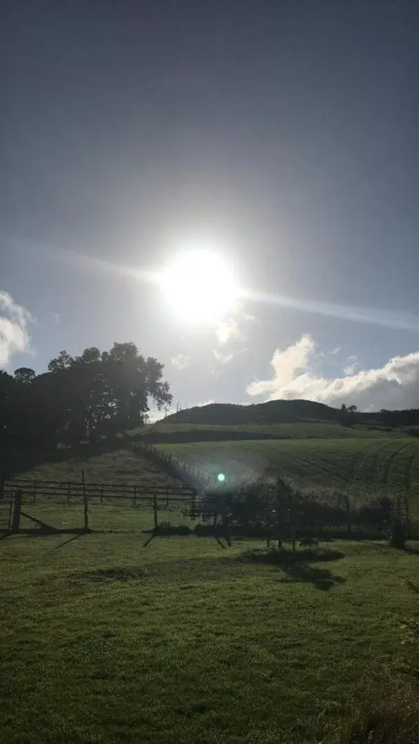 Jacquie's B&B -Dumfries-Room with a view - hot tub