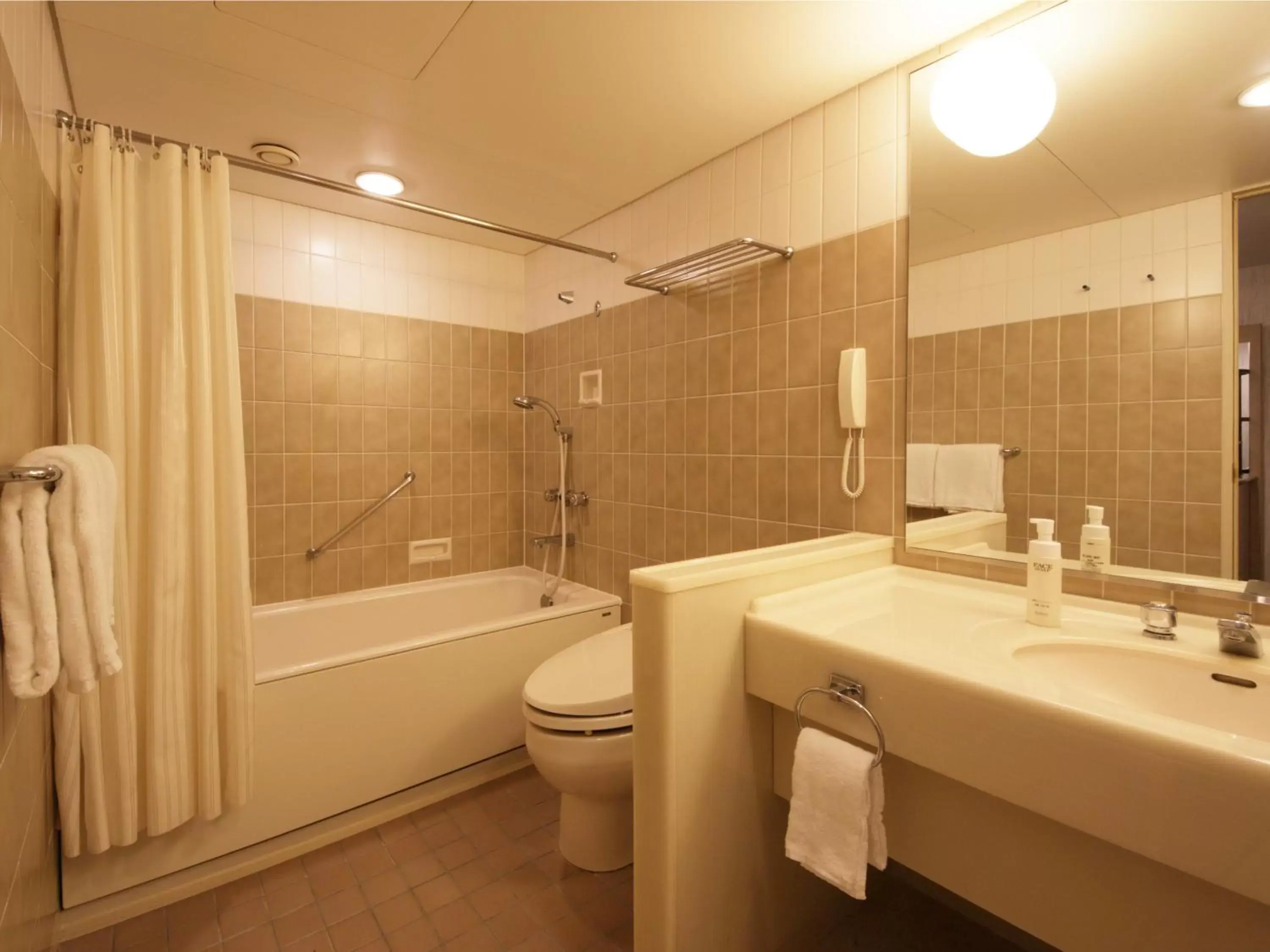 Bathroom in Hotel Nikko Narita