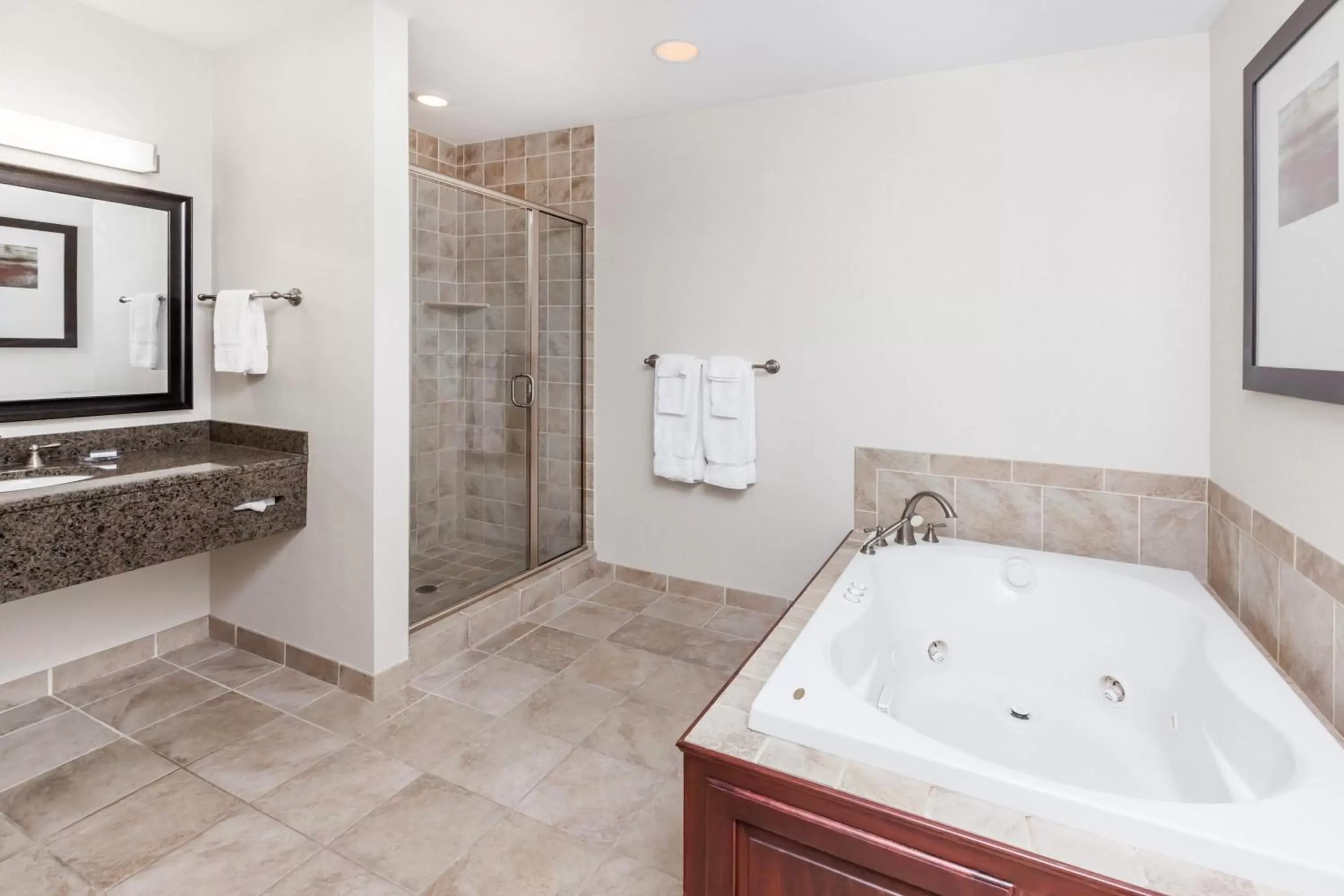 Shower, Bathroom in Wingate by Wyndham Sylvania-Toledo