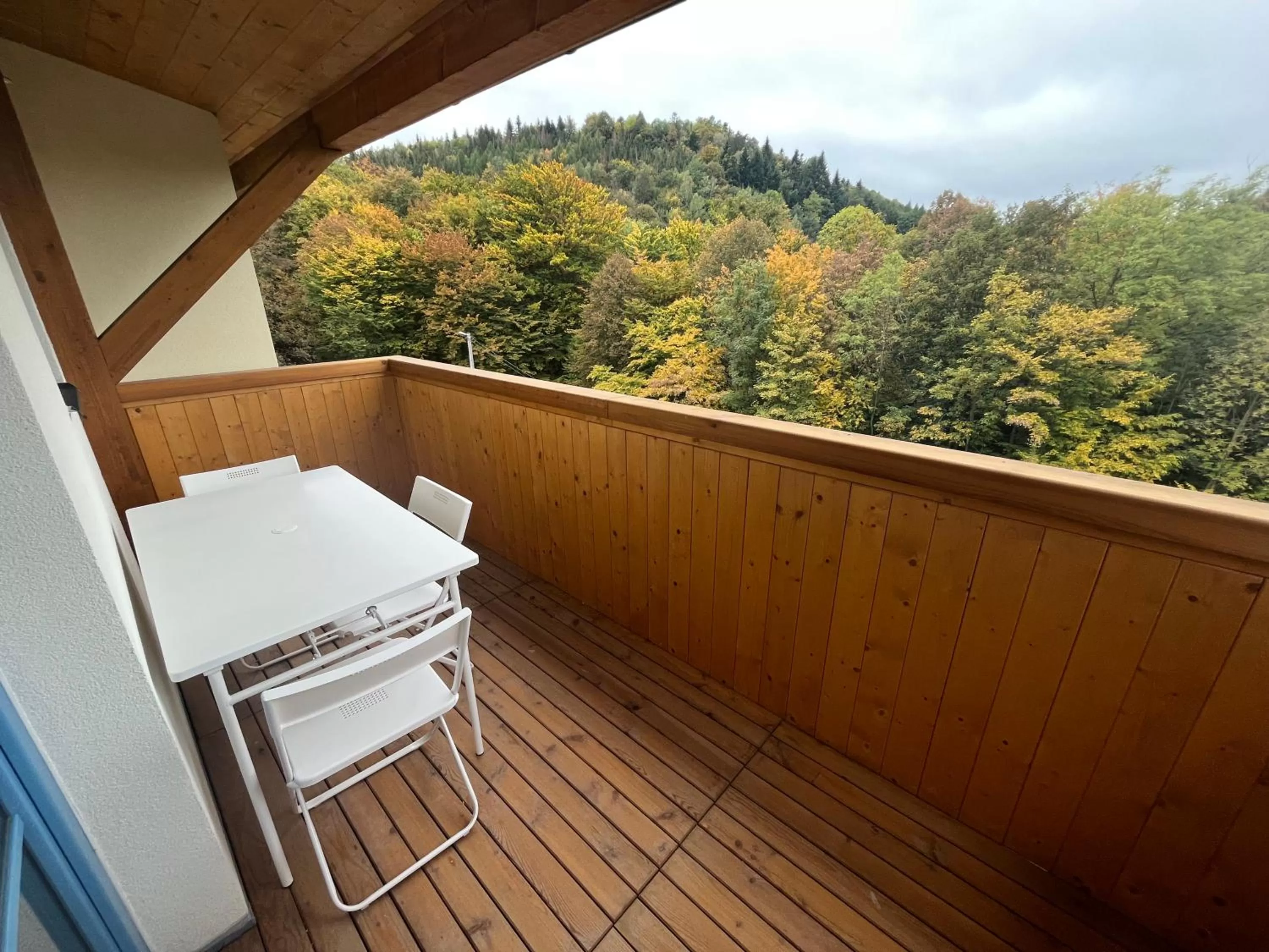 Natural landscape in Hotel Edvard