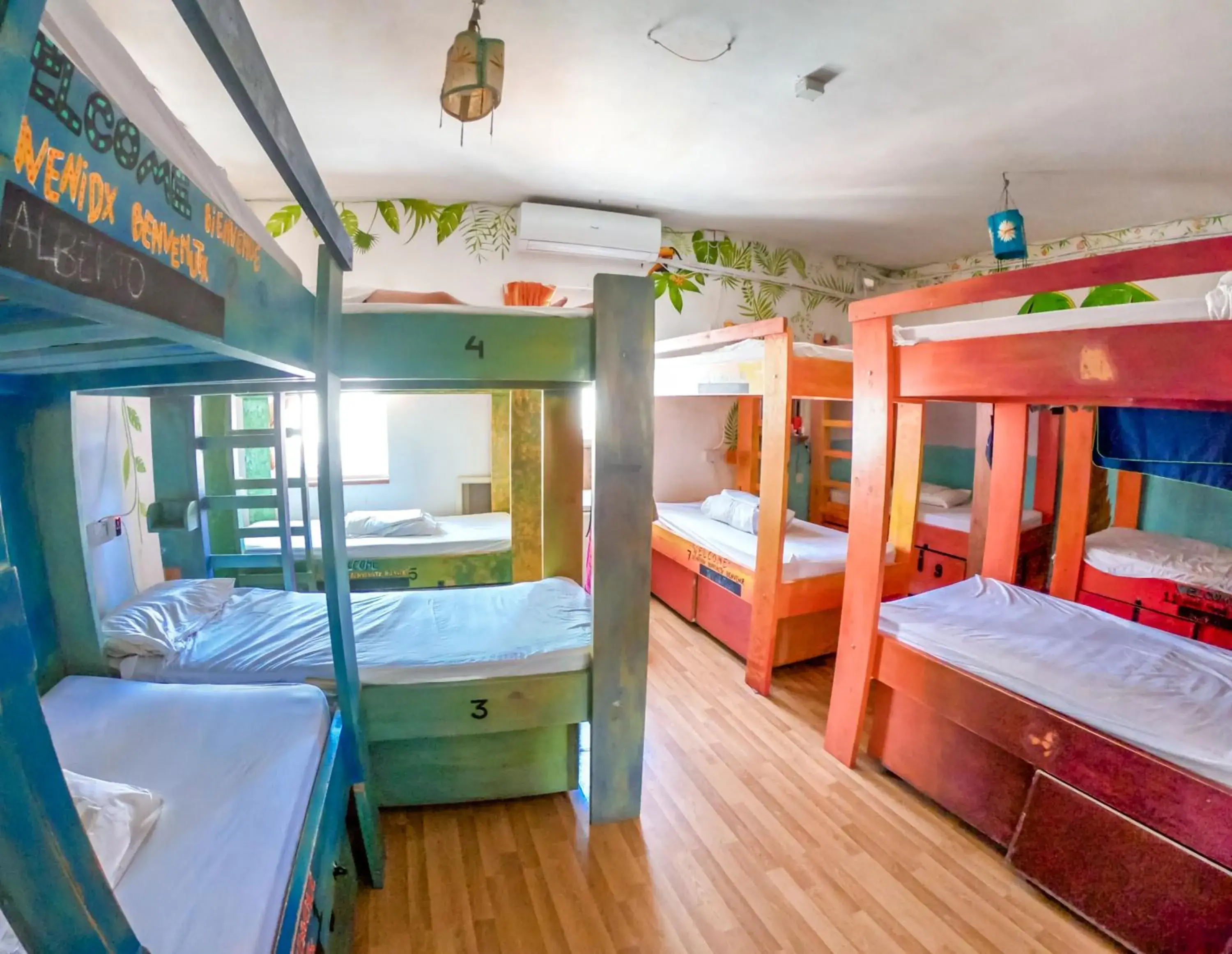 People, Bunk Bed in Hostel Malti Budget
