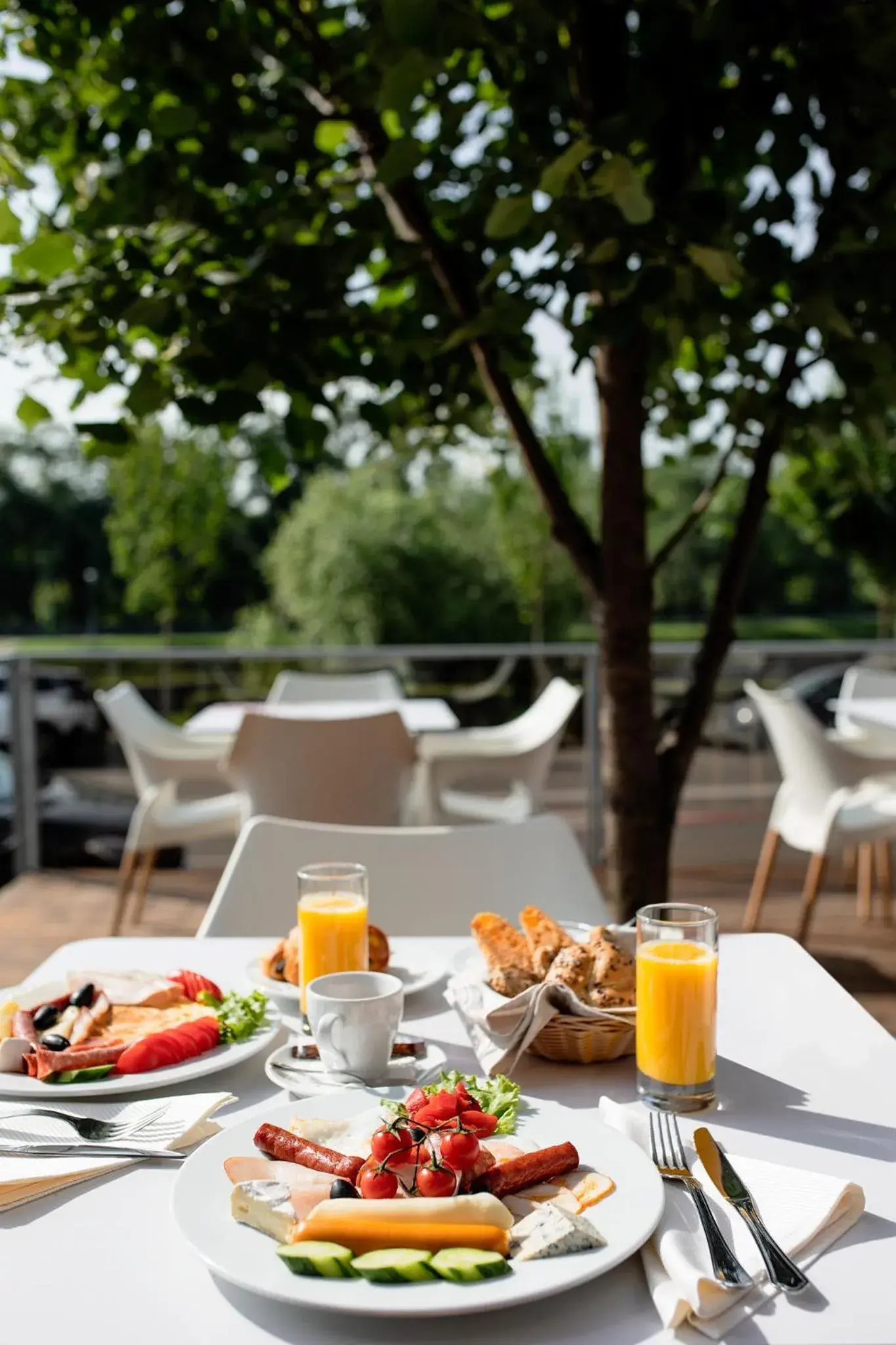 Balcony/Terrace in Hotel River Park