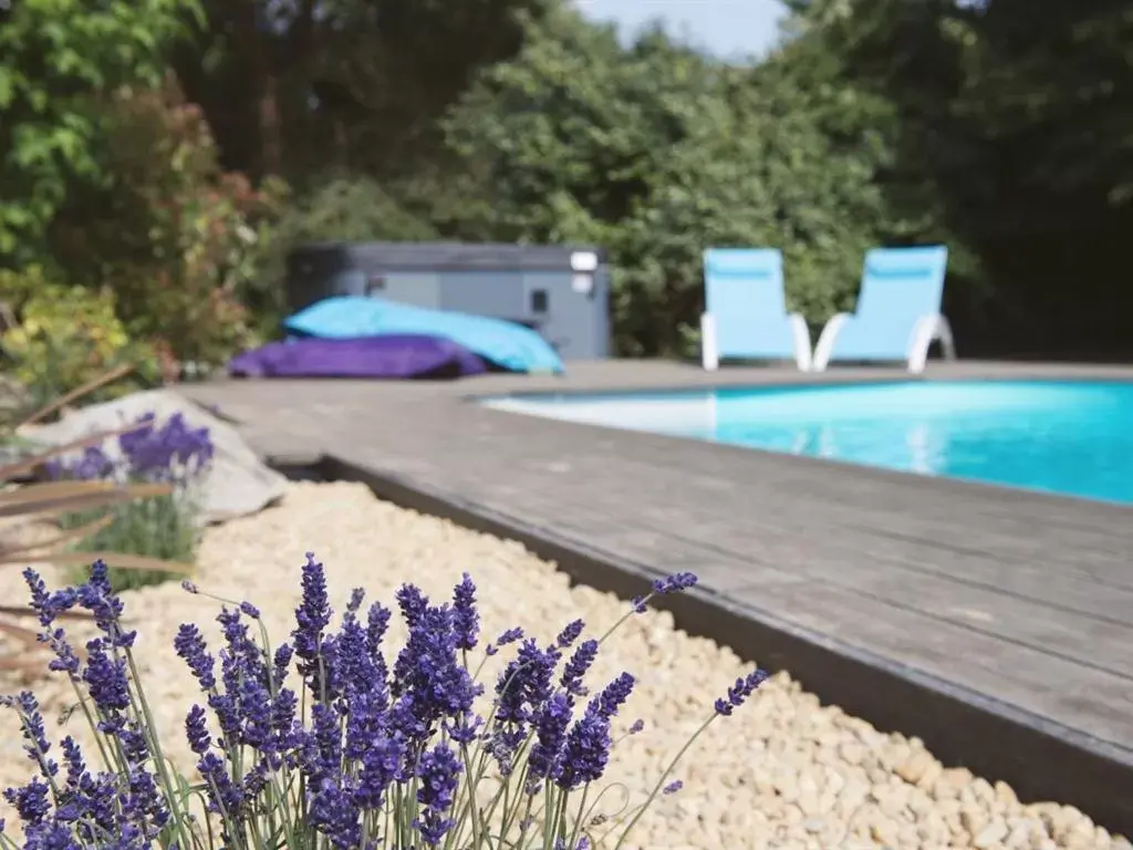 Pool view, Swimming Pool in Chambres d'Hotes - La Marmoire