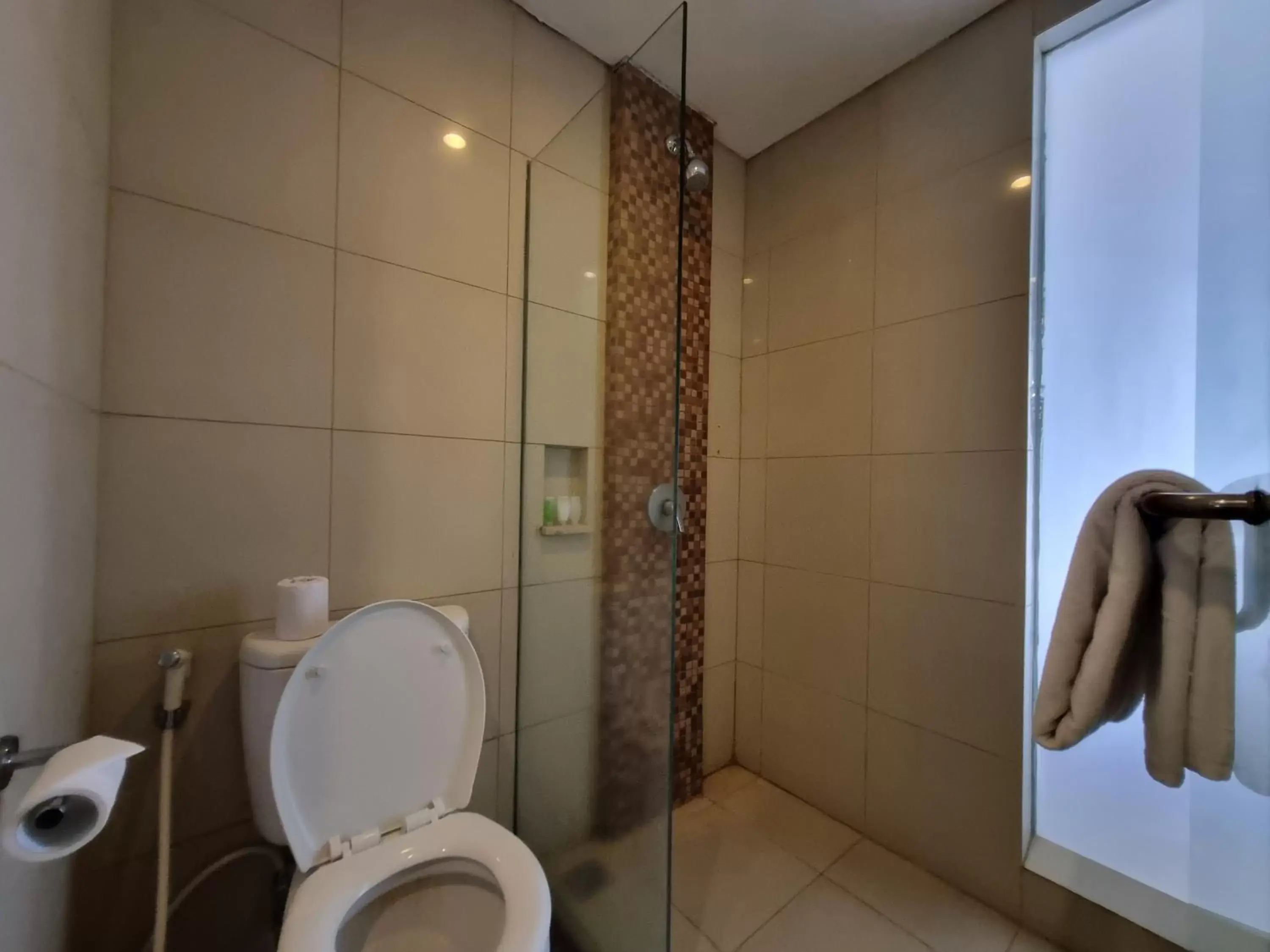 Shower, Bathroom in Crystalkuta Hotel - Bali
