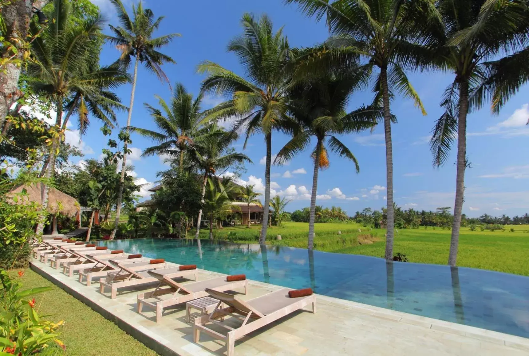 Swimming pool in MATHIS Retreat Ubud