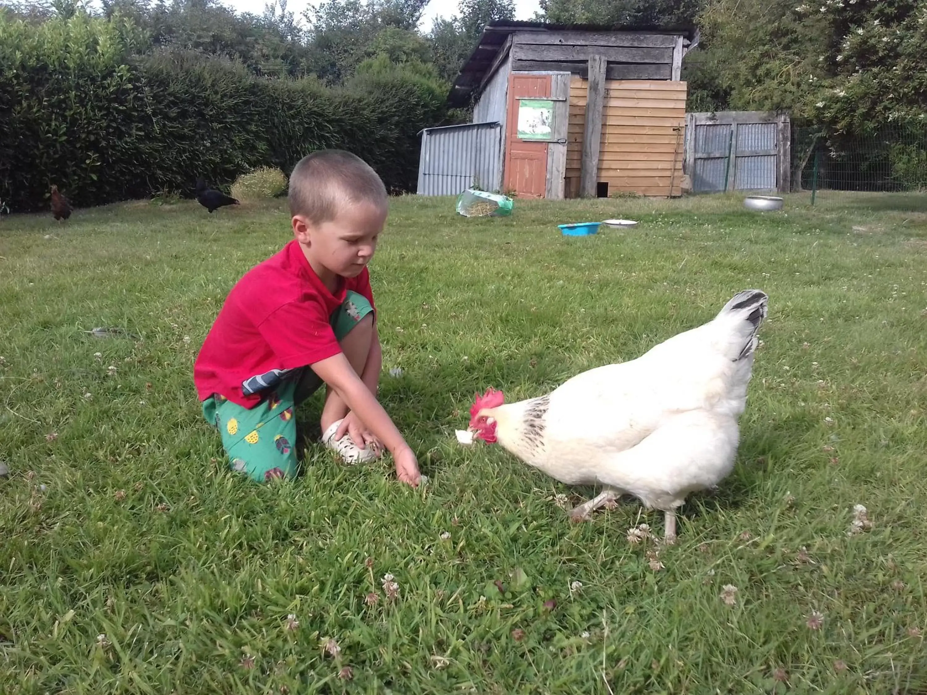 Animals, Children in La Parisière