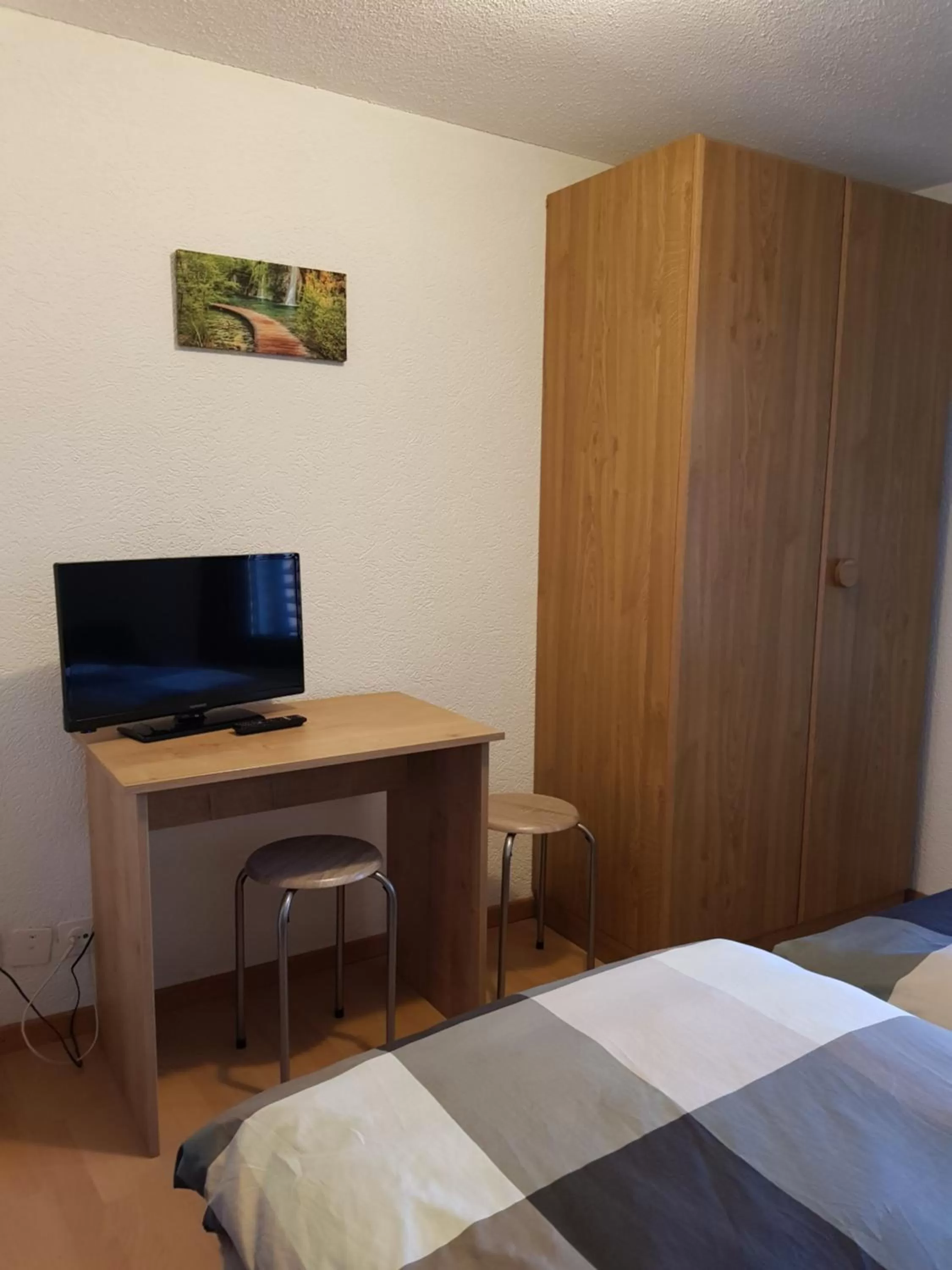 TV/Entertainment Center in Garni-Hotel Mühletal