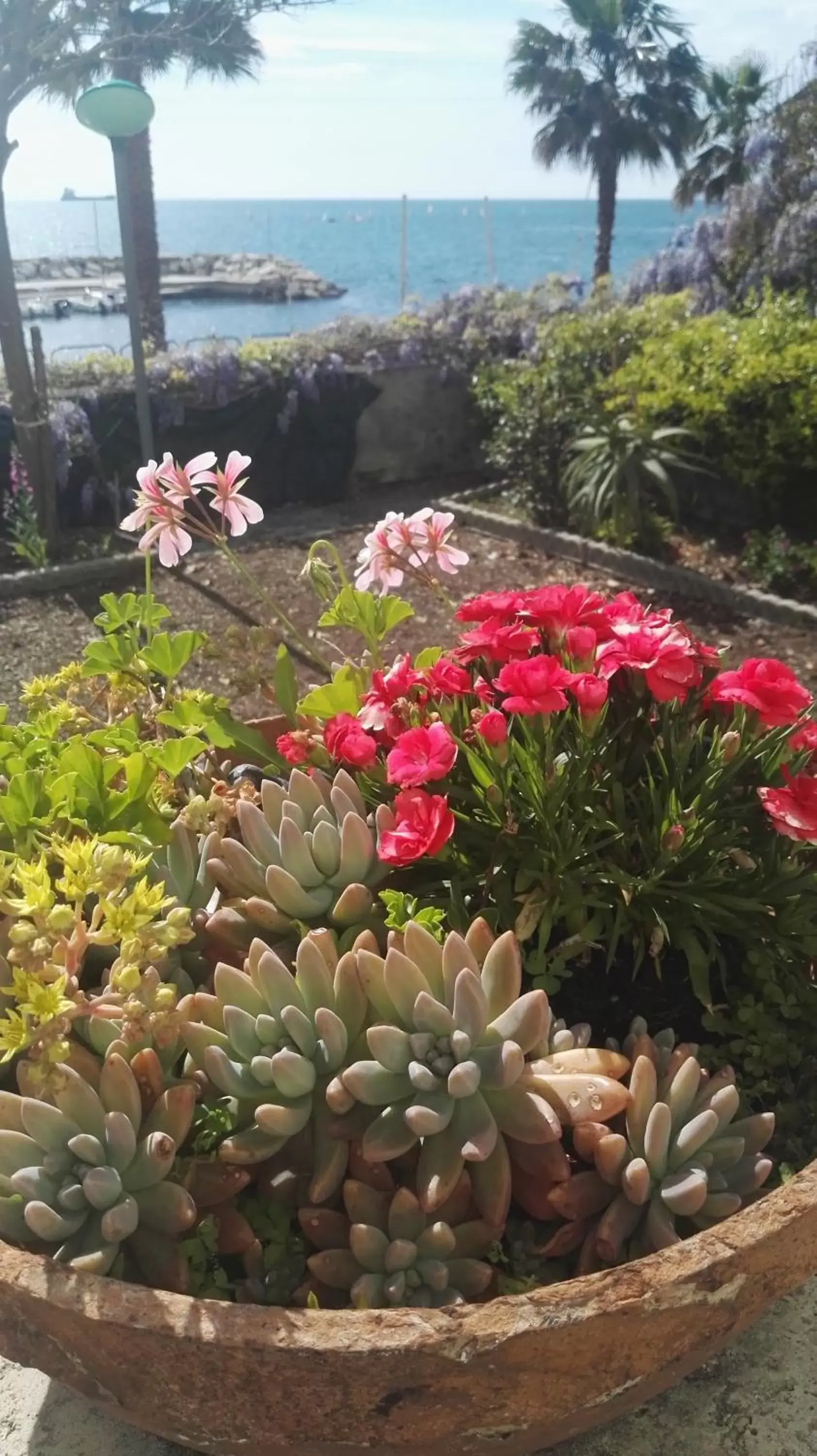 Garden view in B&B Maison De Revel