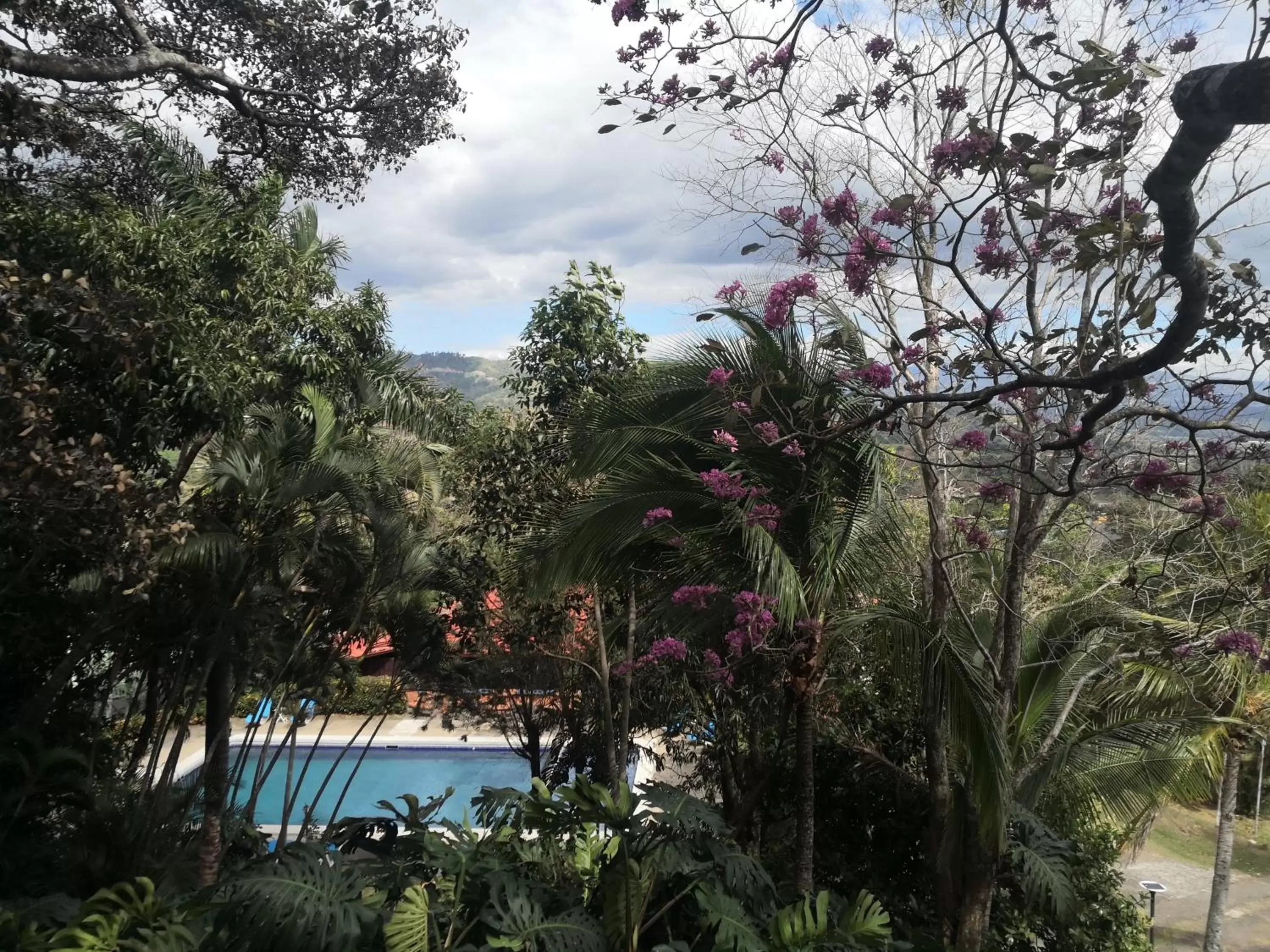 Pool View in Hotel Villas de la Colina