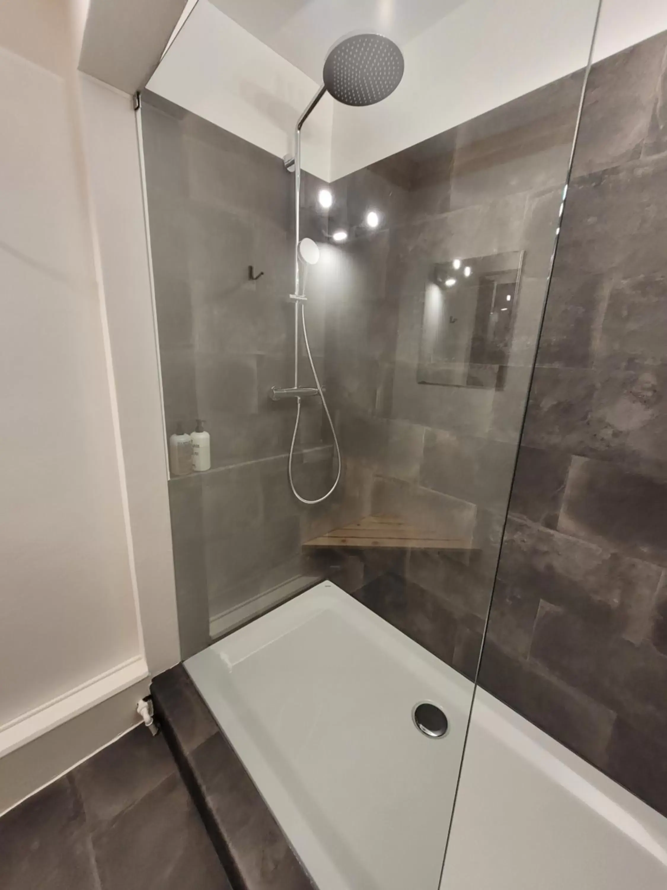 Shower, Bathroom in Zunfthaus zur Rebleuten