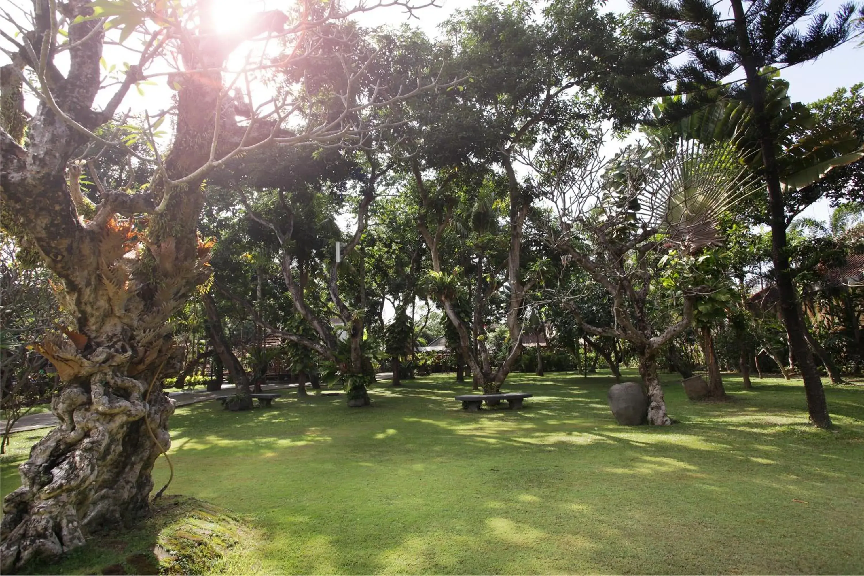 Garden in Matahari Bungalow Hotel