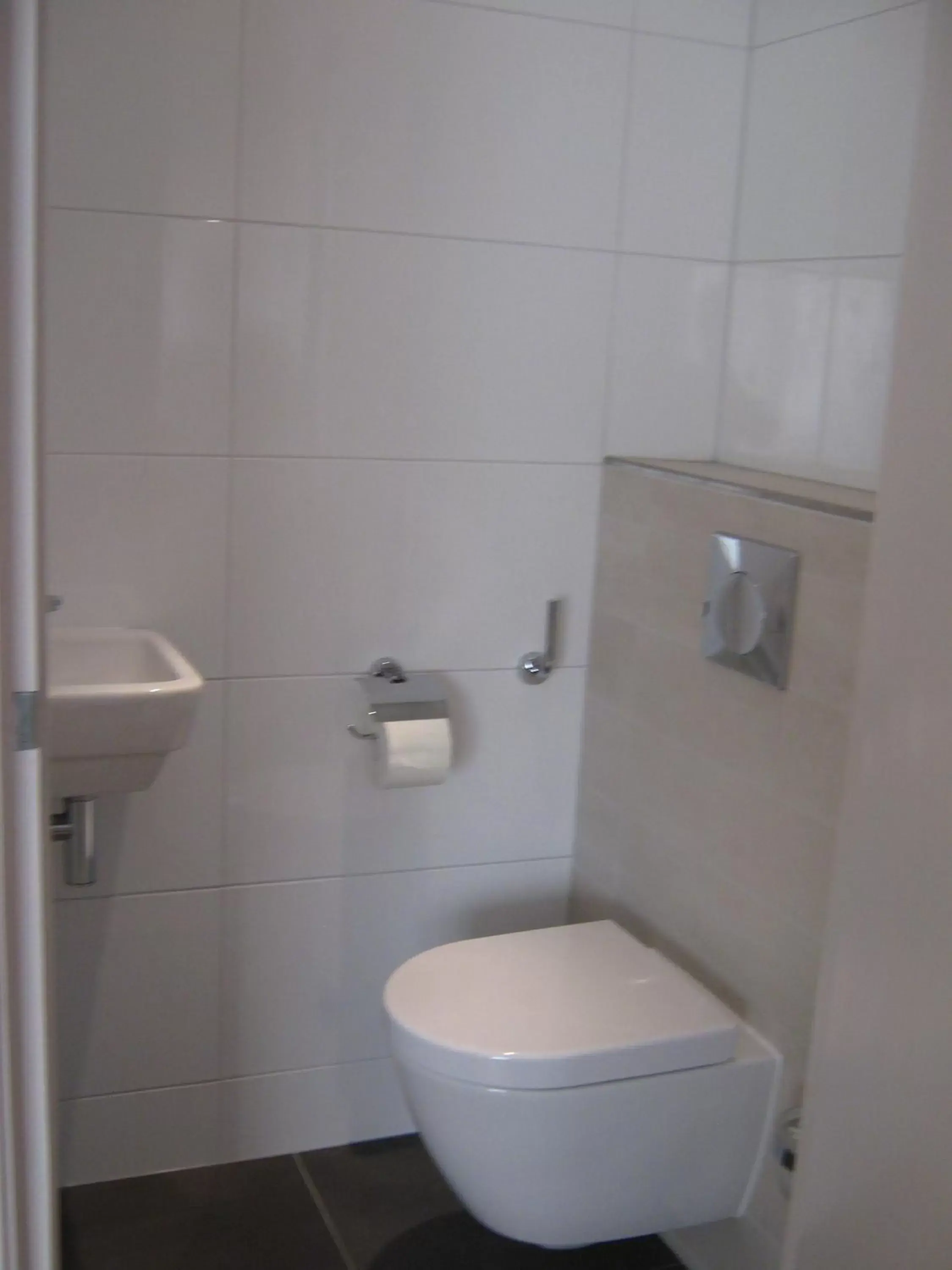 Toilet, Bathroom in B&B De Tobbedanser Harlingen