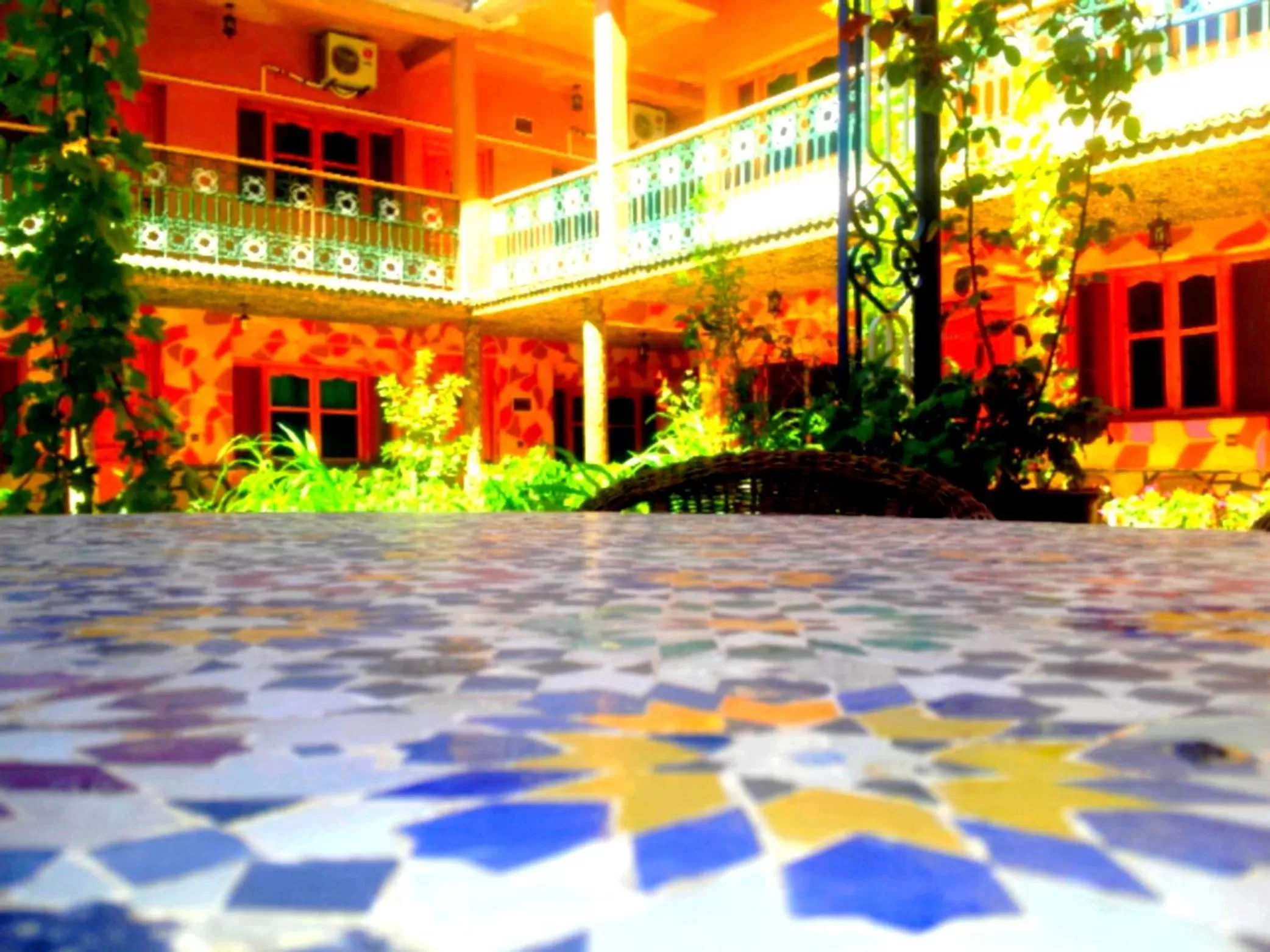 Garden in Hotel Restaurant La Kasbah