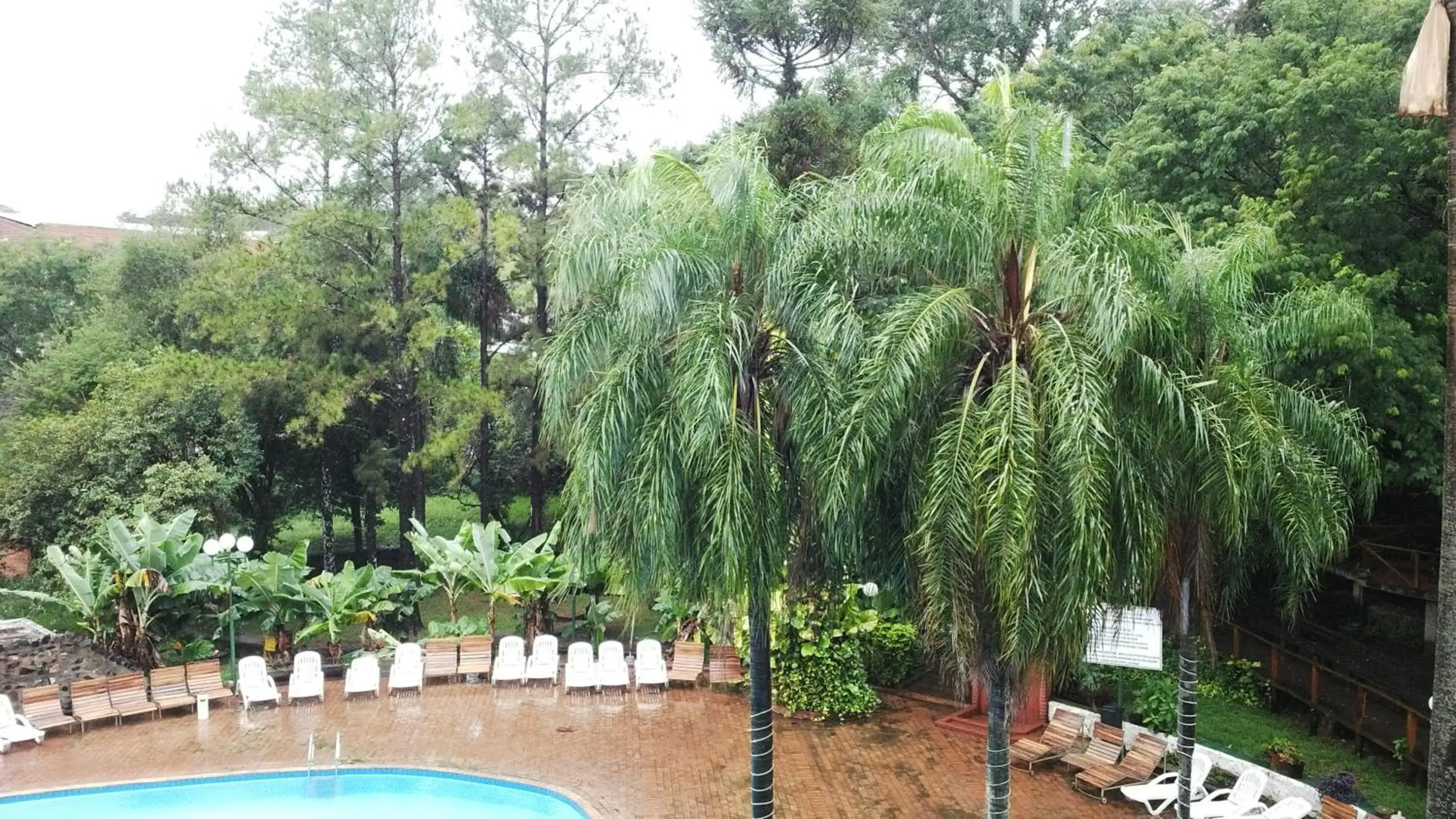 Garden view in Hotel El Libertador