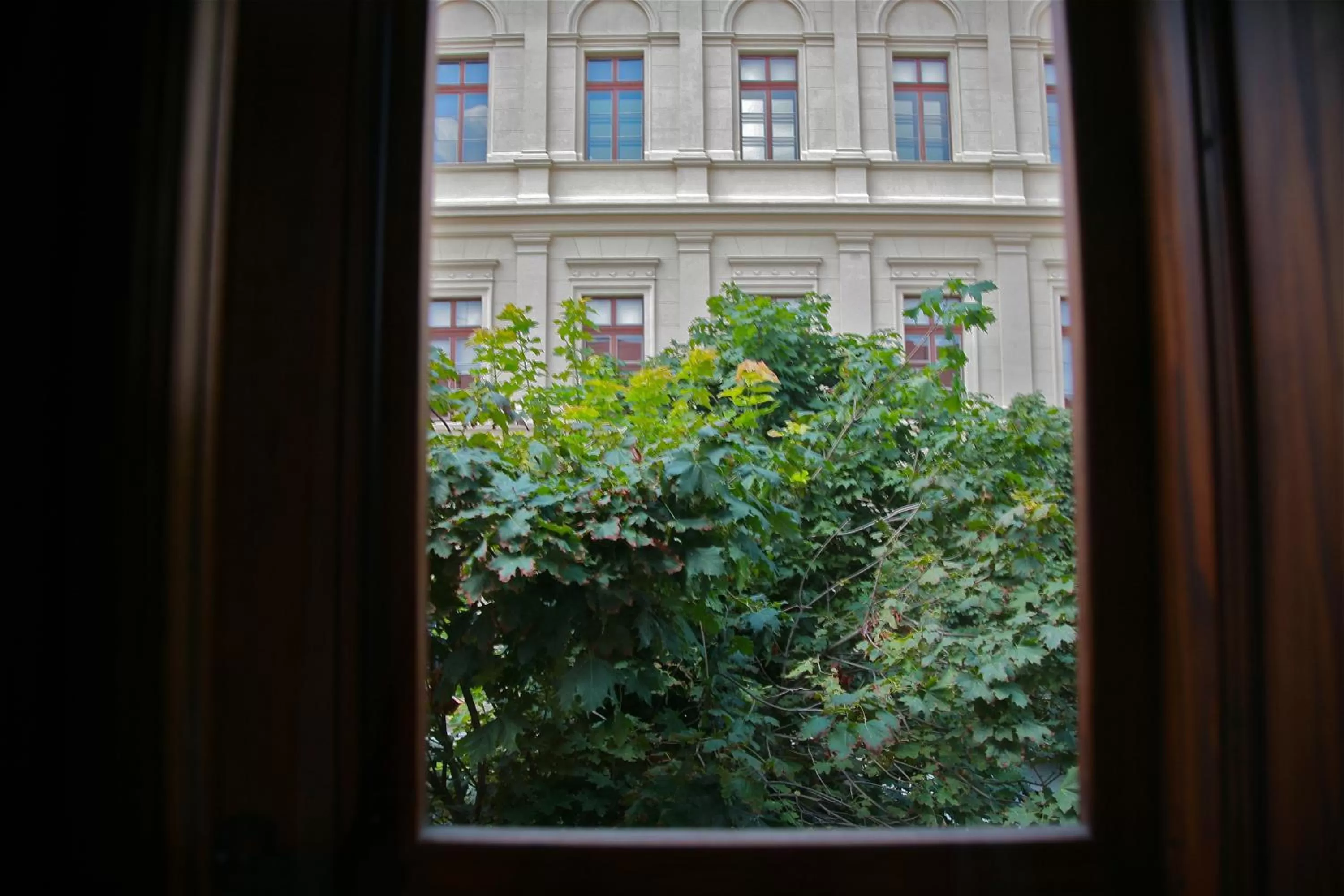 Street view in Maksimilian Osijek