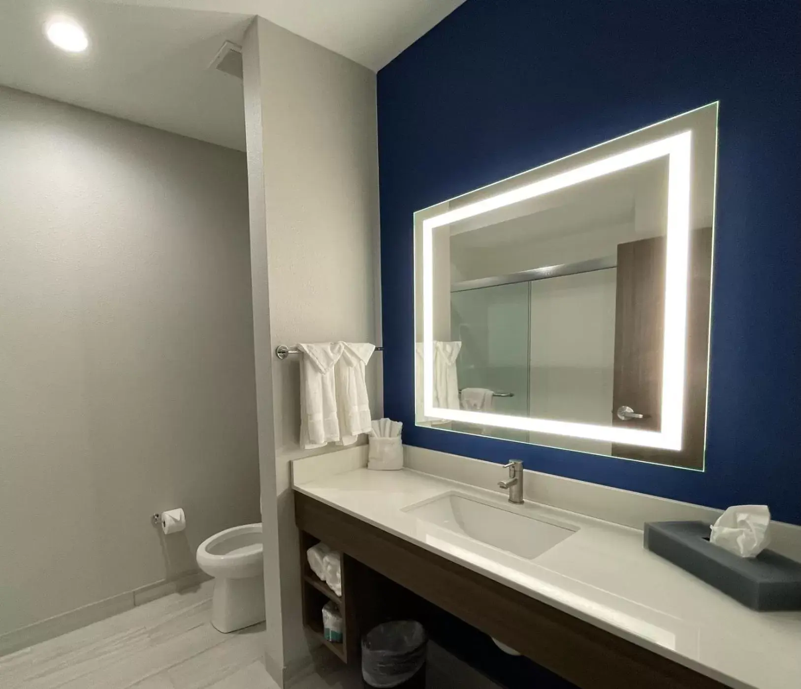 Bathroom in La Quinta Inn & Suites by Wyndham Valdosta