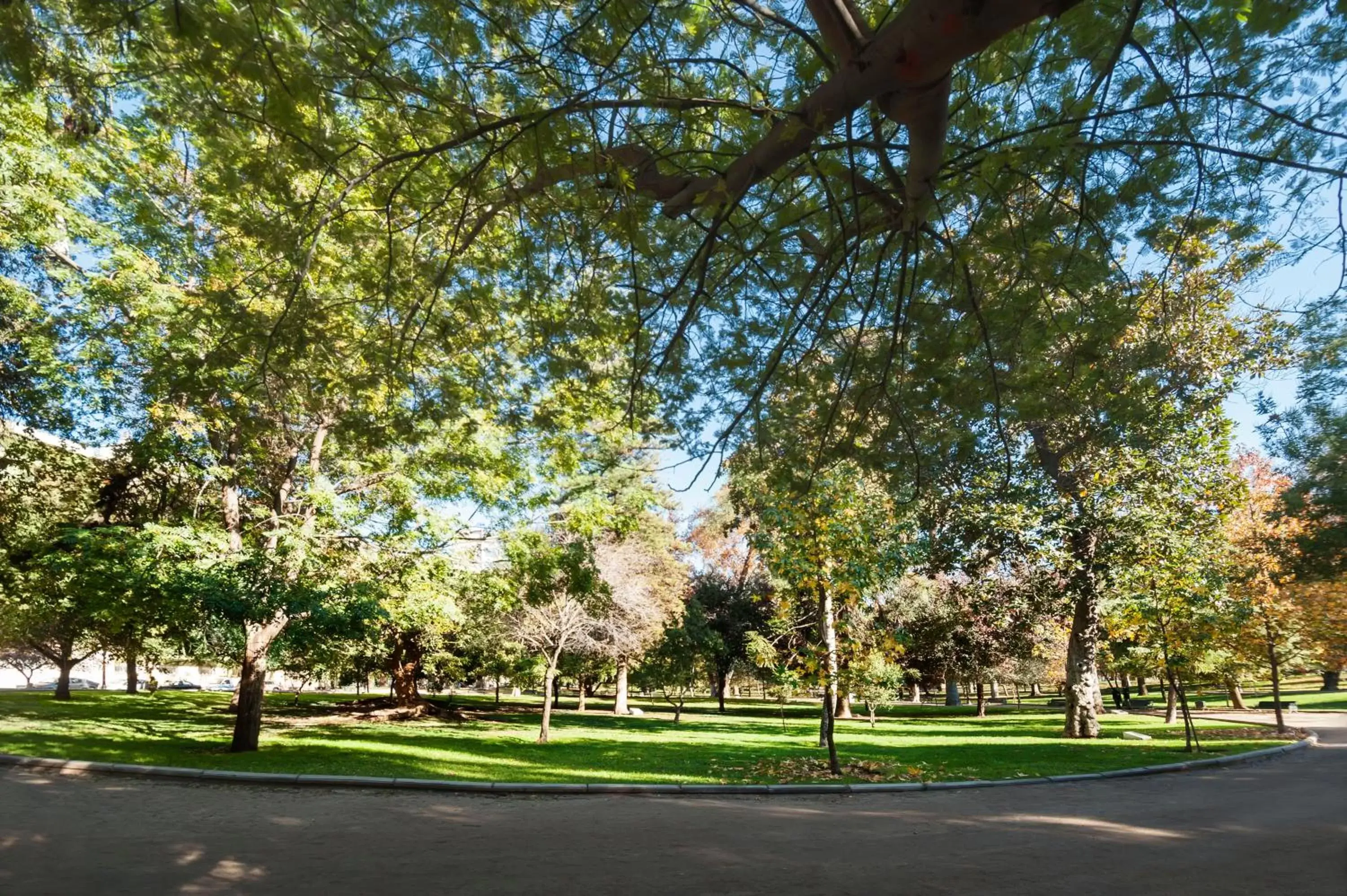 Natural landscape, Garden in Hotel Ismael