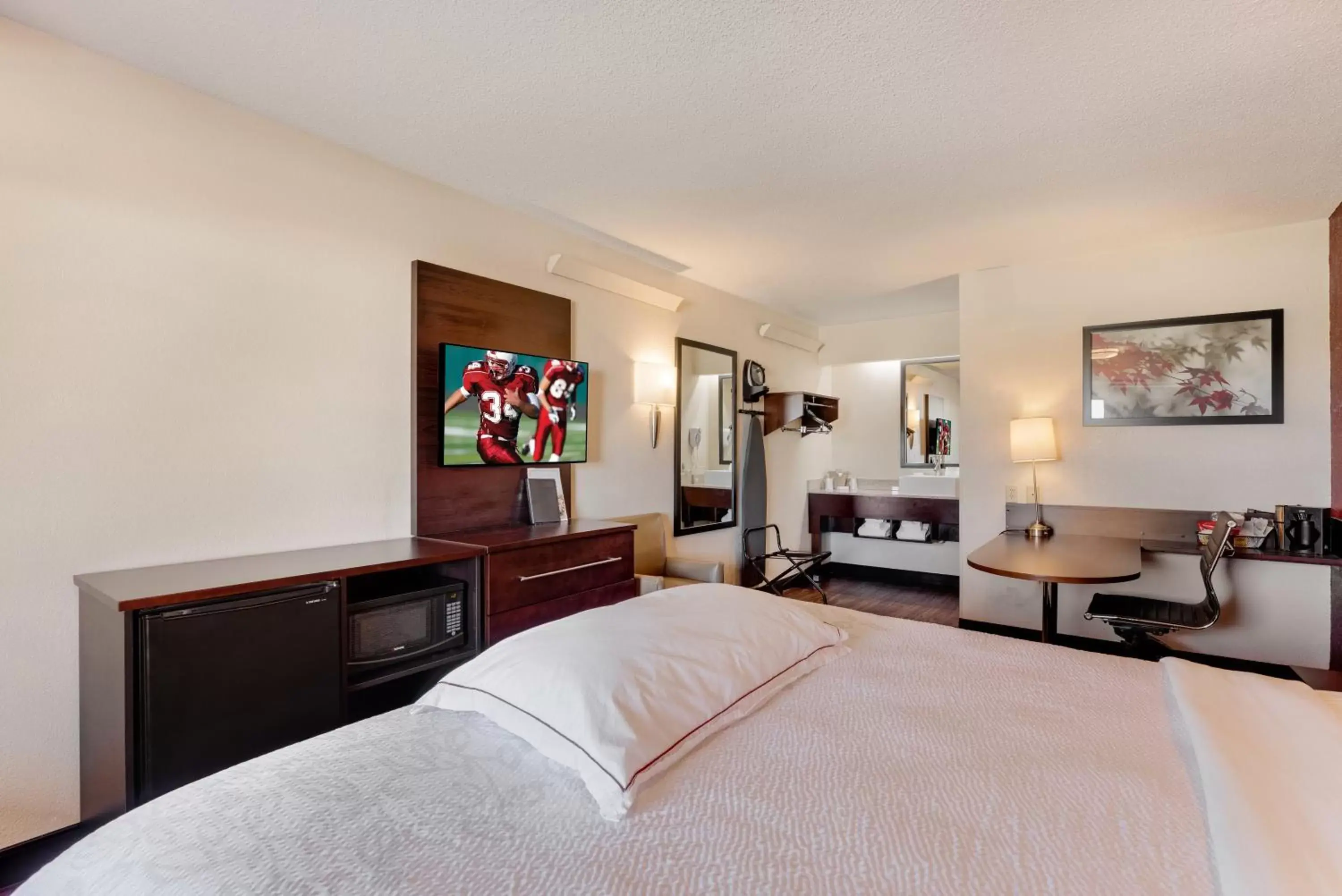 Bedroom, TV/Entertainment Center in Red Roof Inn PLUS+ Chicago - Northbrook/Deerfield
