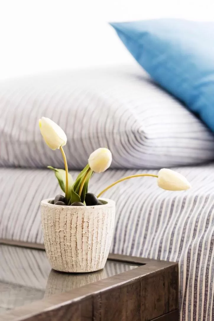 Area and facilities, Bed in b&b River Inn