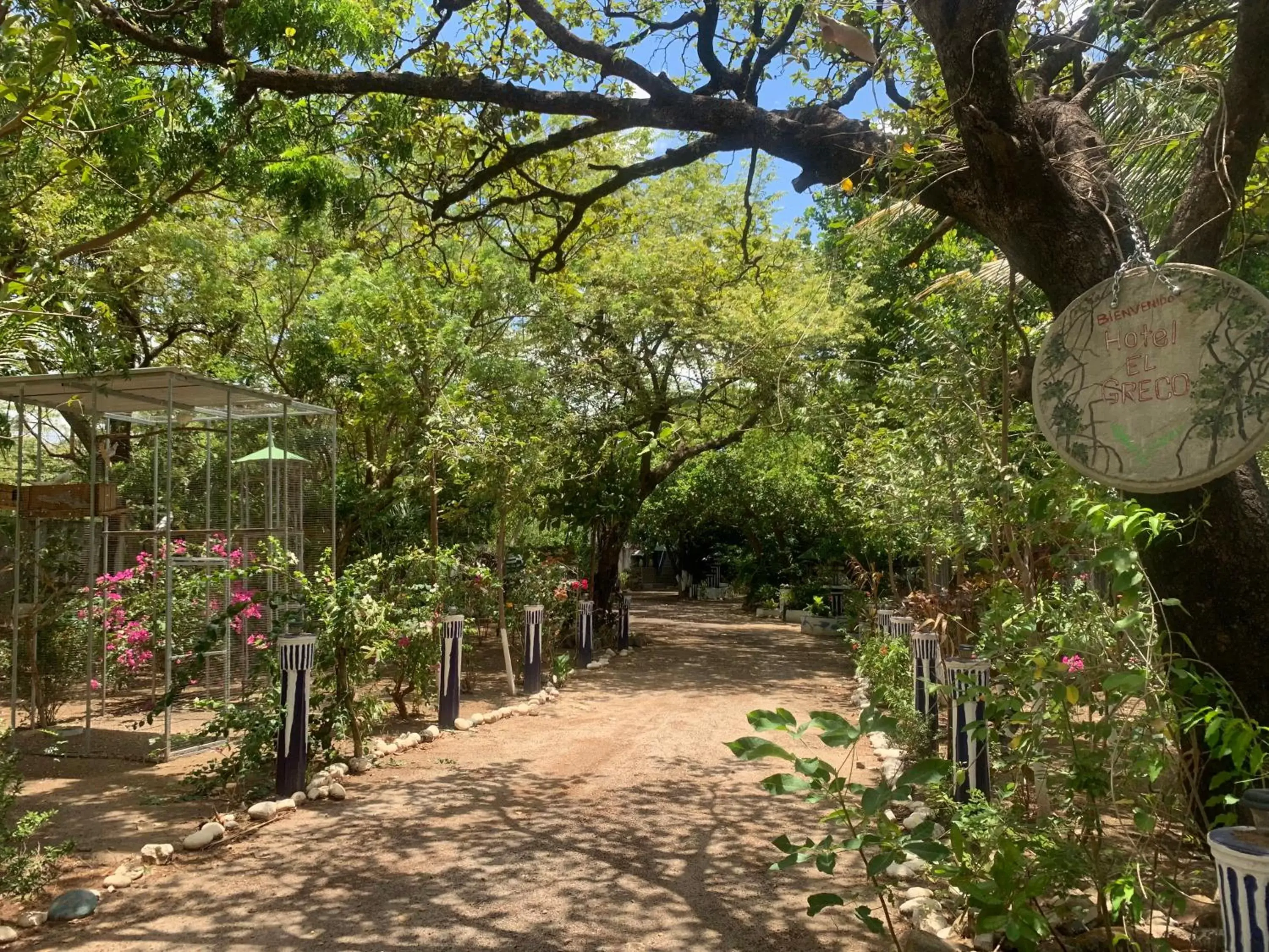 Garden in Hostalito El Greco