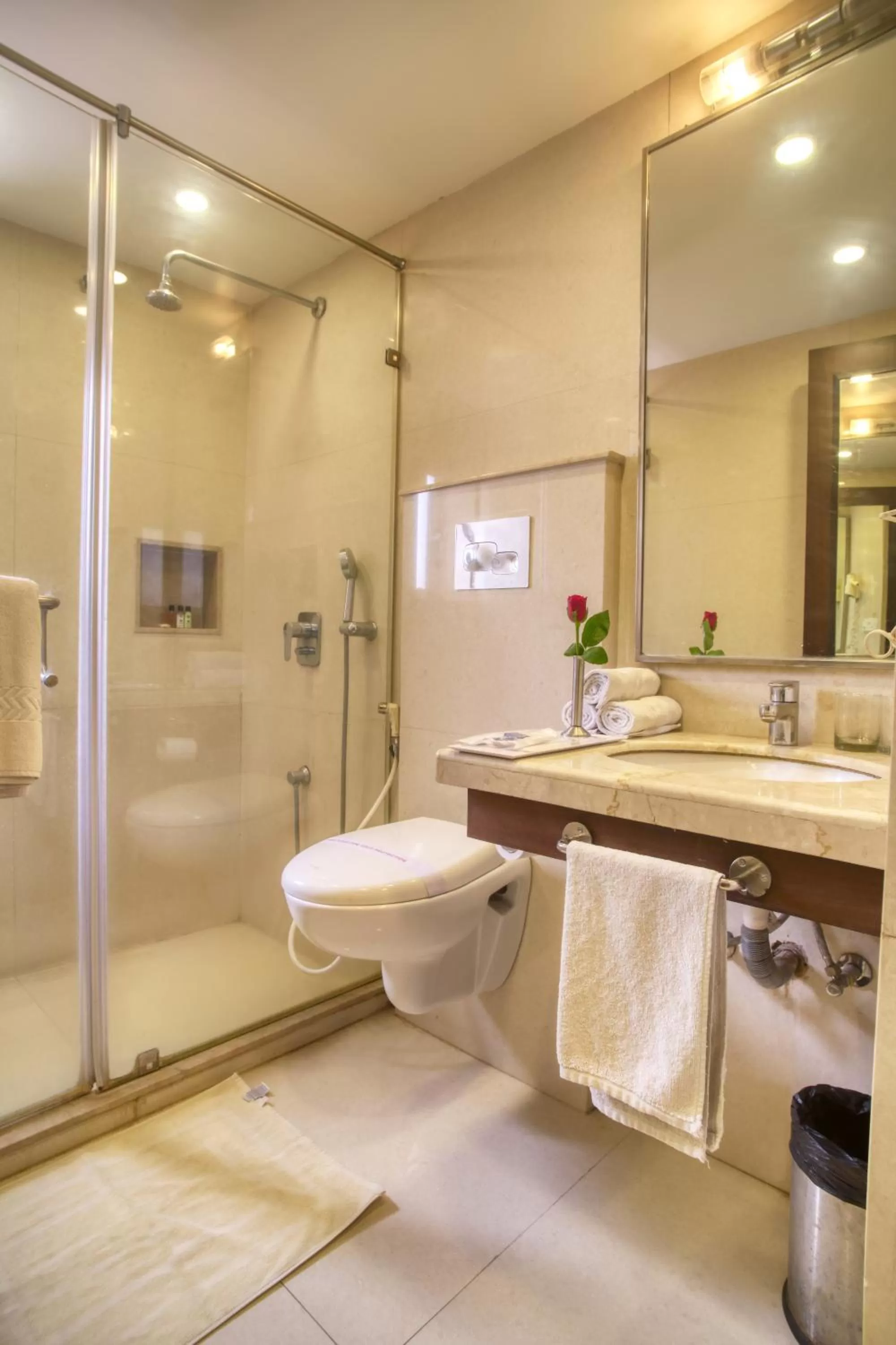 Toilet in The Samilton