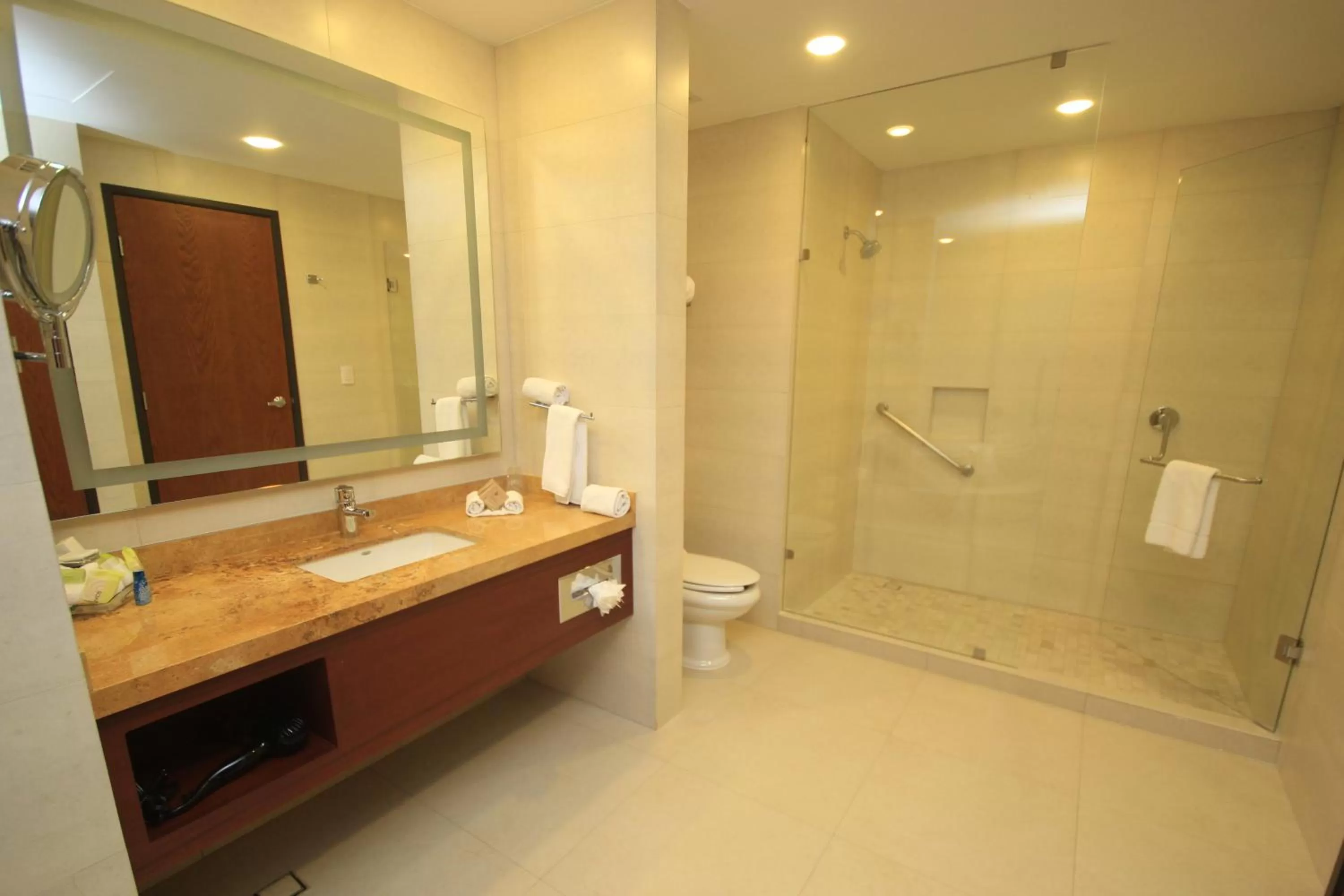 Bathroom in Holiday Inn & Suites Plaza Mayor by IHG