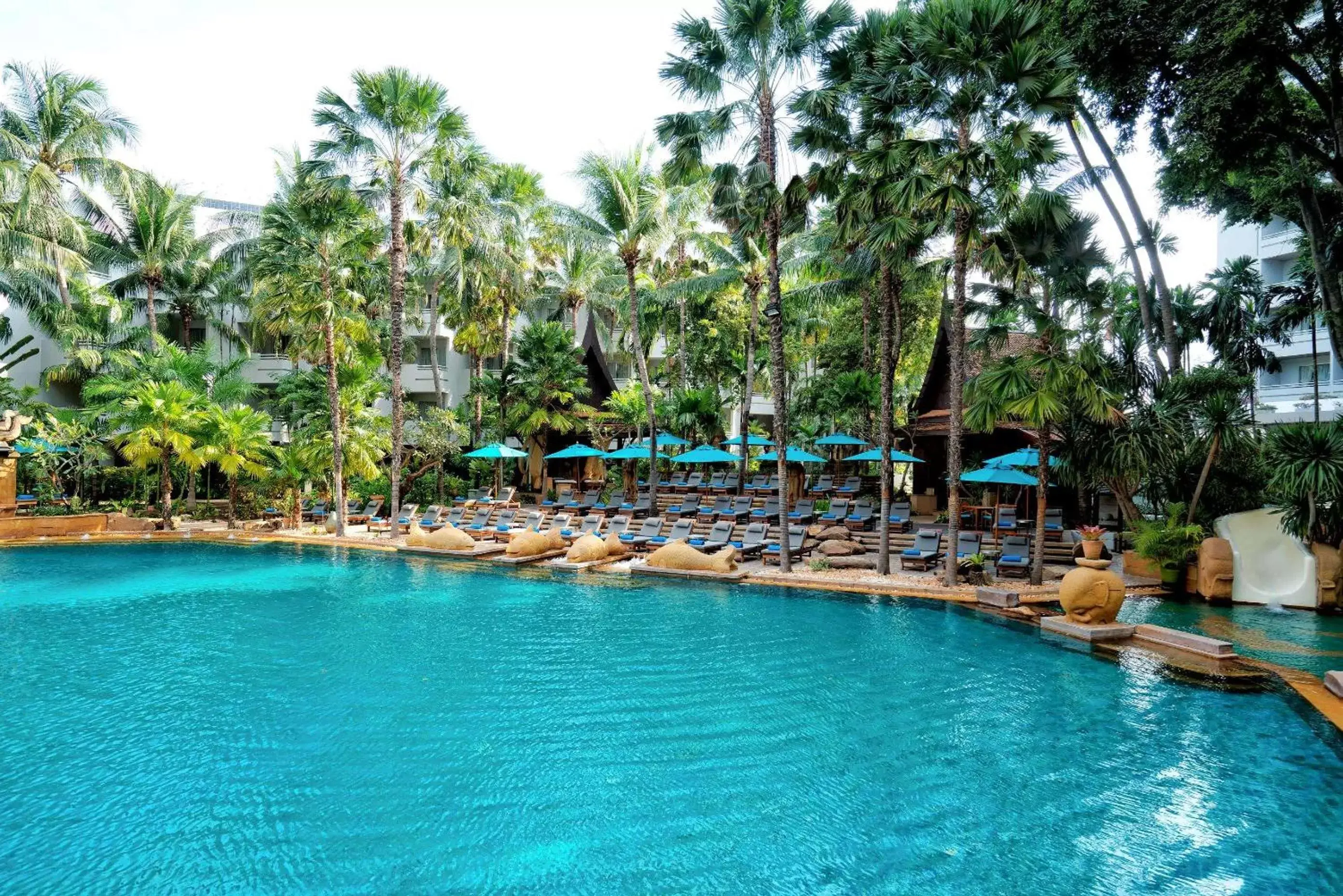 Pool view, Swimming Pool in Avani Pattaya Resort