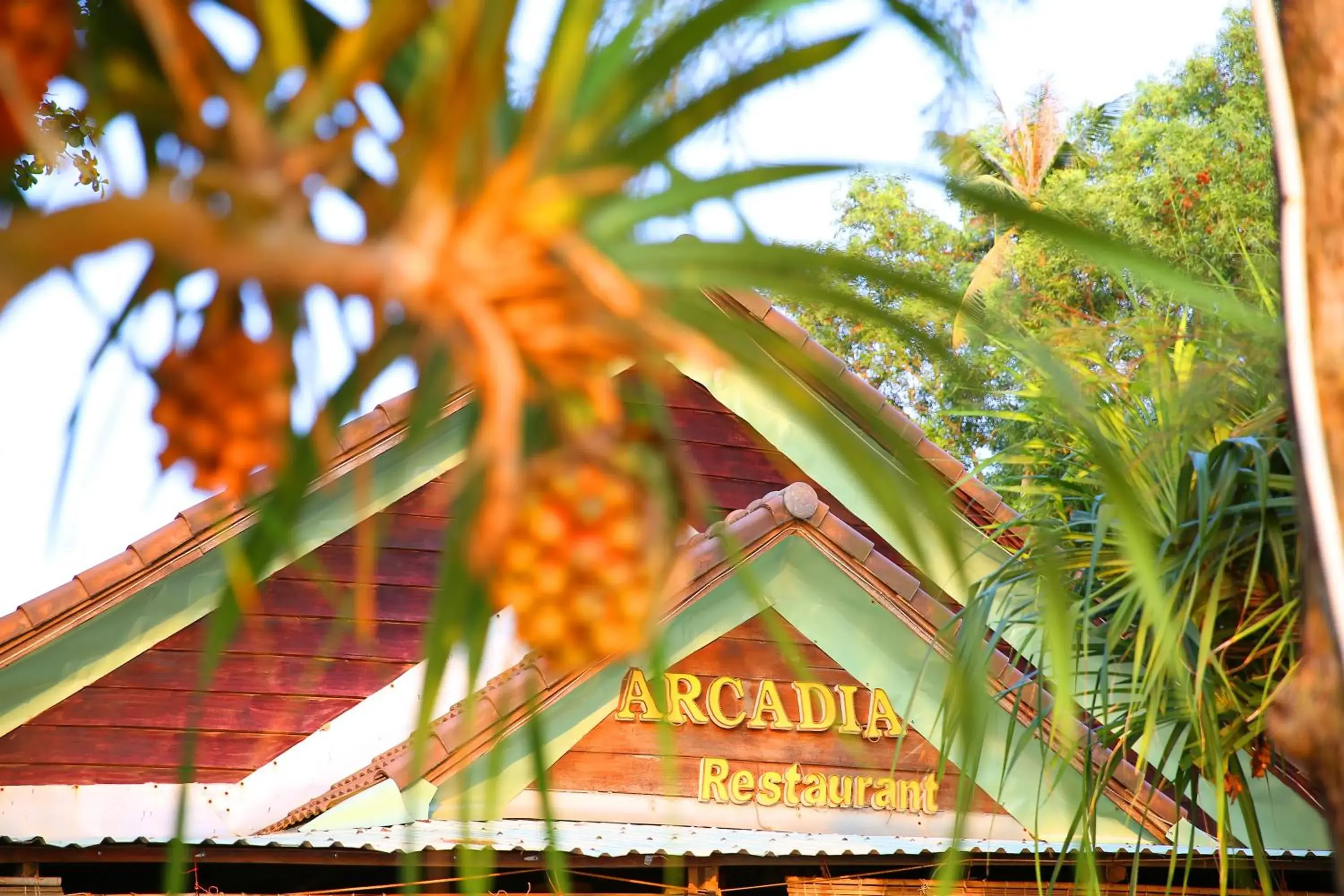 Restaurant/places to eat in Arcadia Phu Quoc Resort