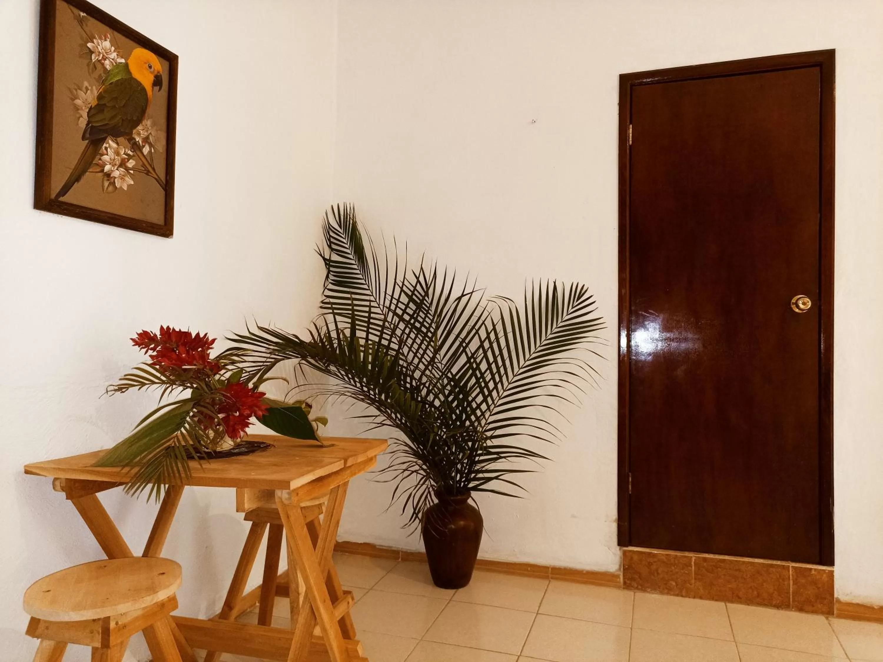 Casa De Los Pájaros - B&B