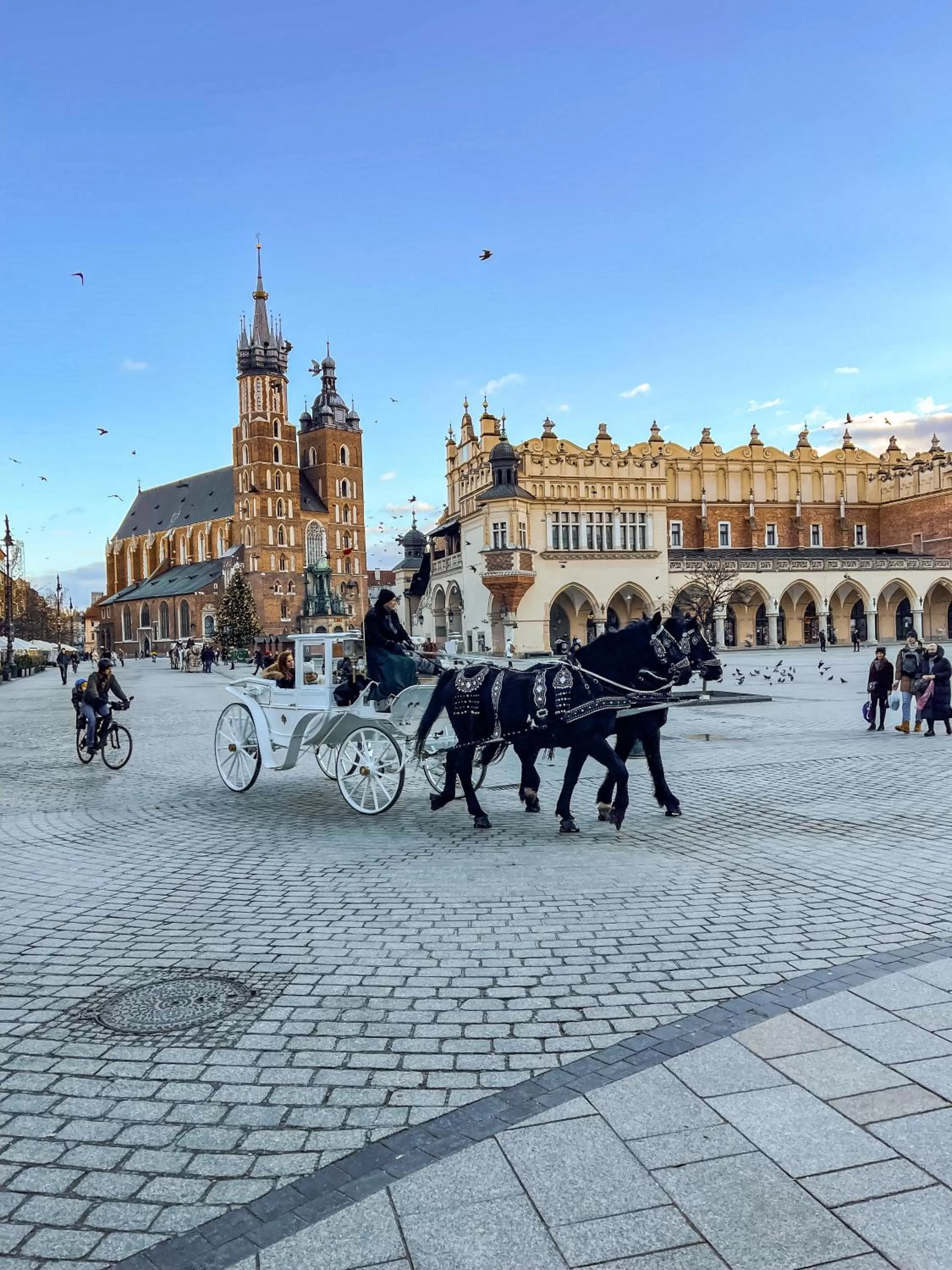 Off site in Hotel H12****