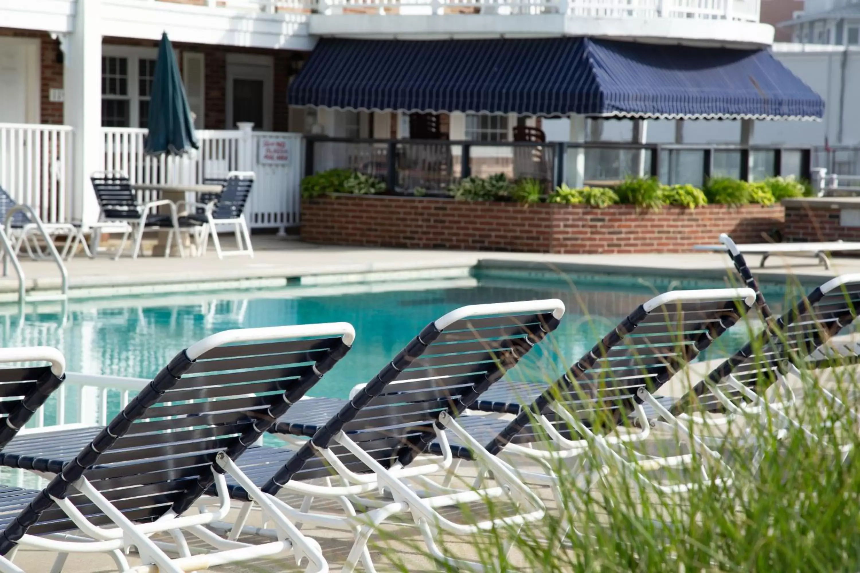 Pool view, Swimming Pool in Saratoga Resort