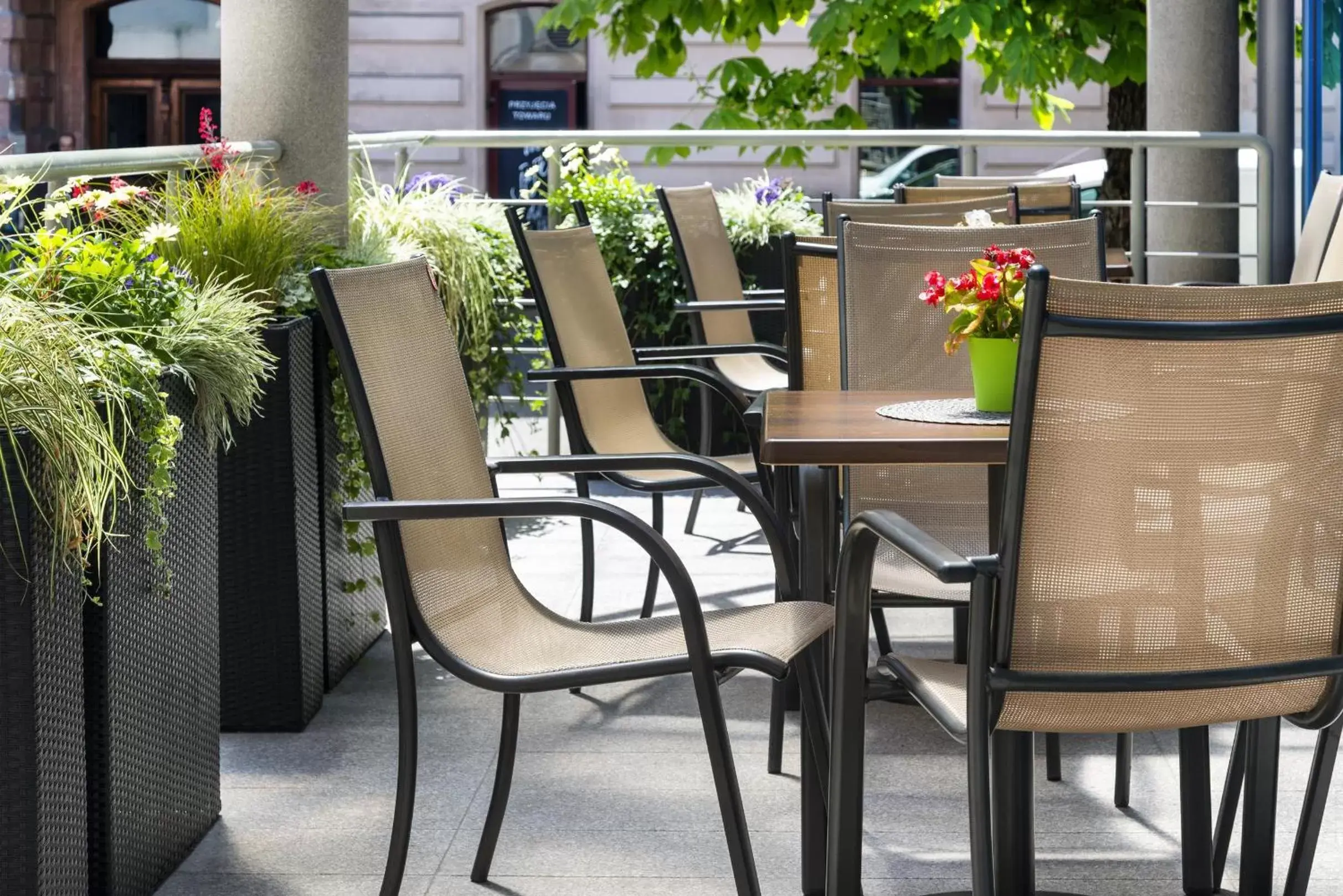 Garden in Best Western Plus Krakow Old Town