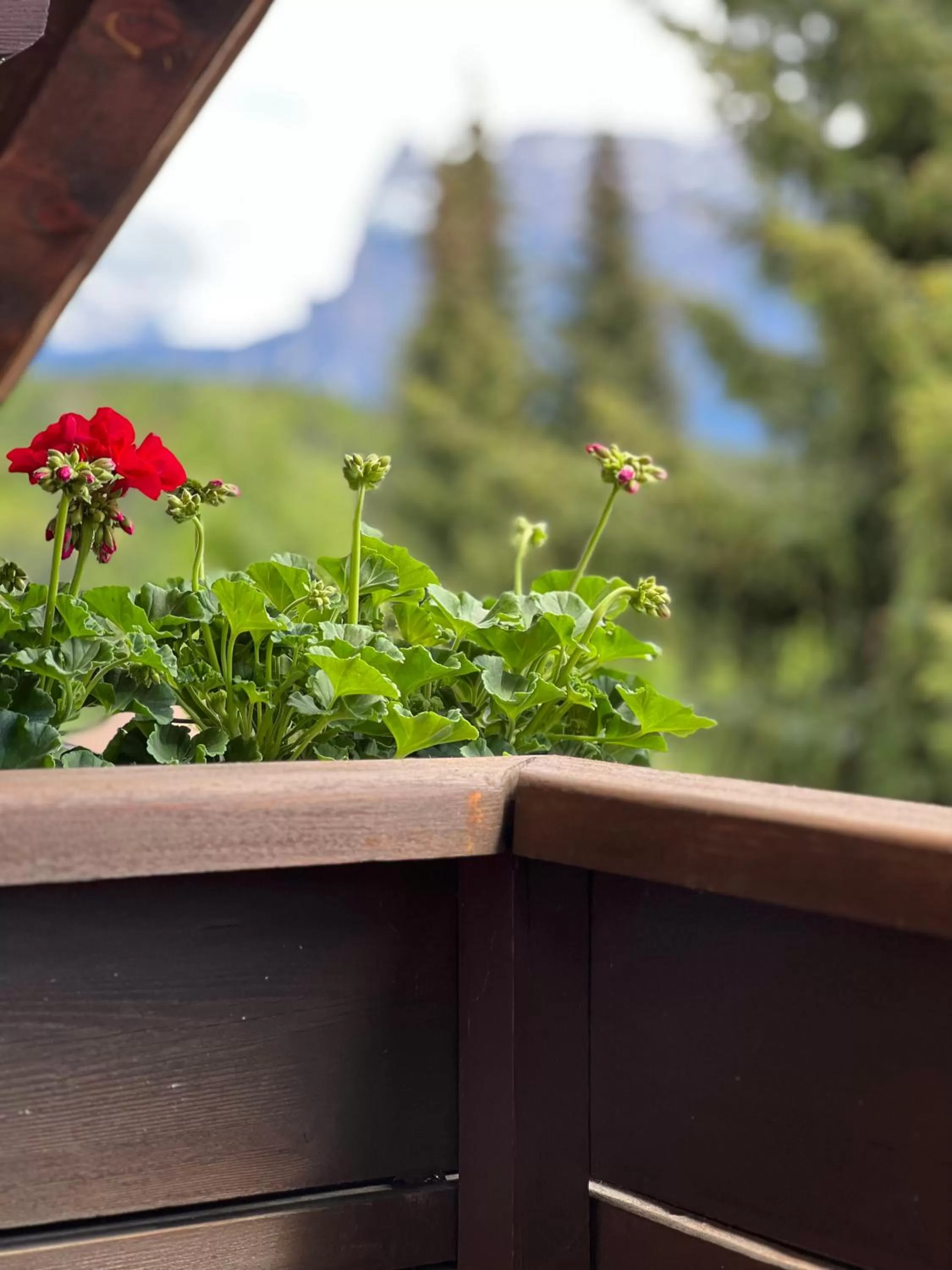 Ameiserhof Guesthouse