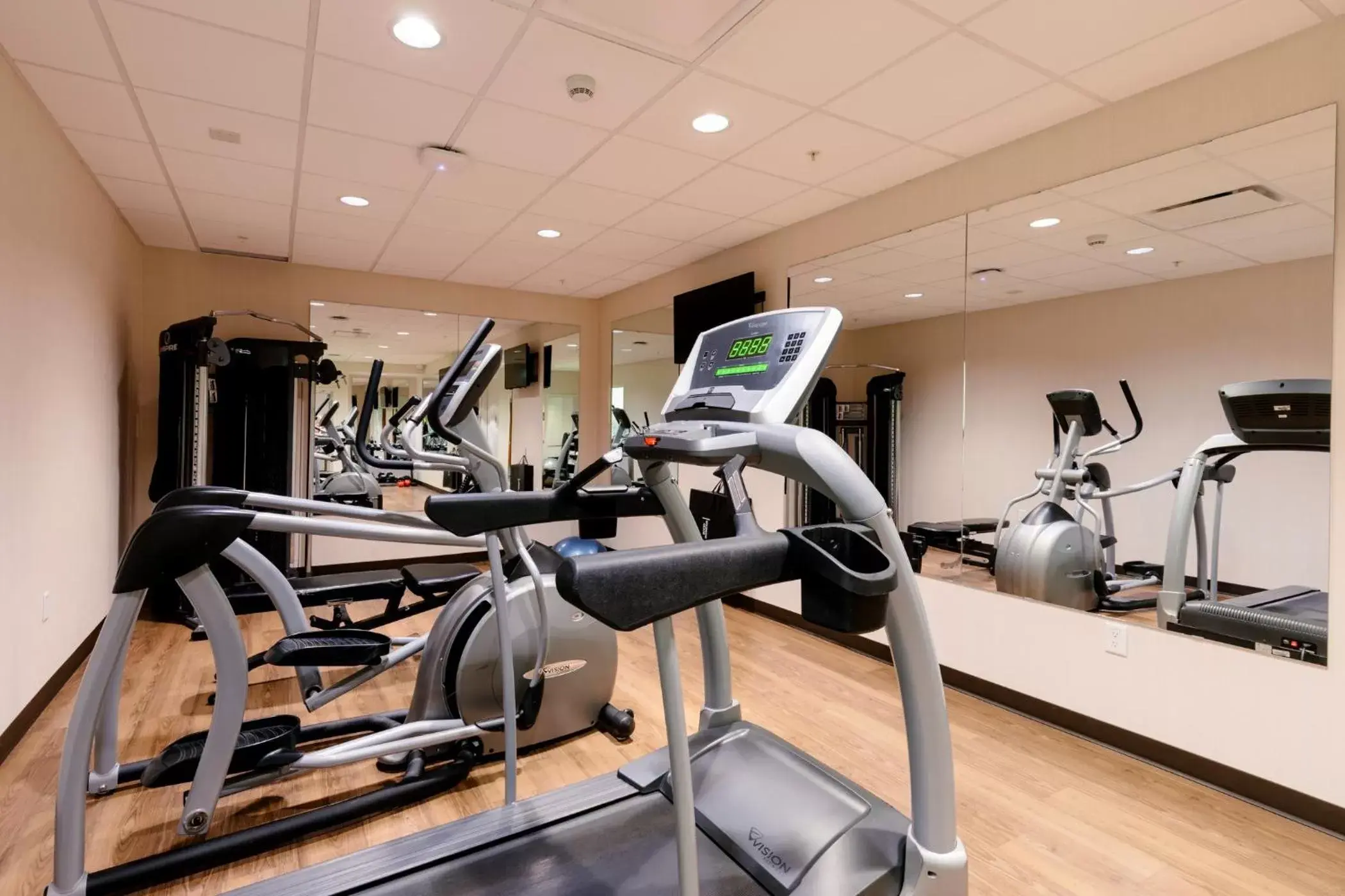 Fitness centre/facilities, Fitness Center/Facilities in The Crimson Jasper