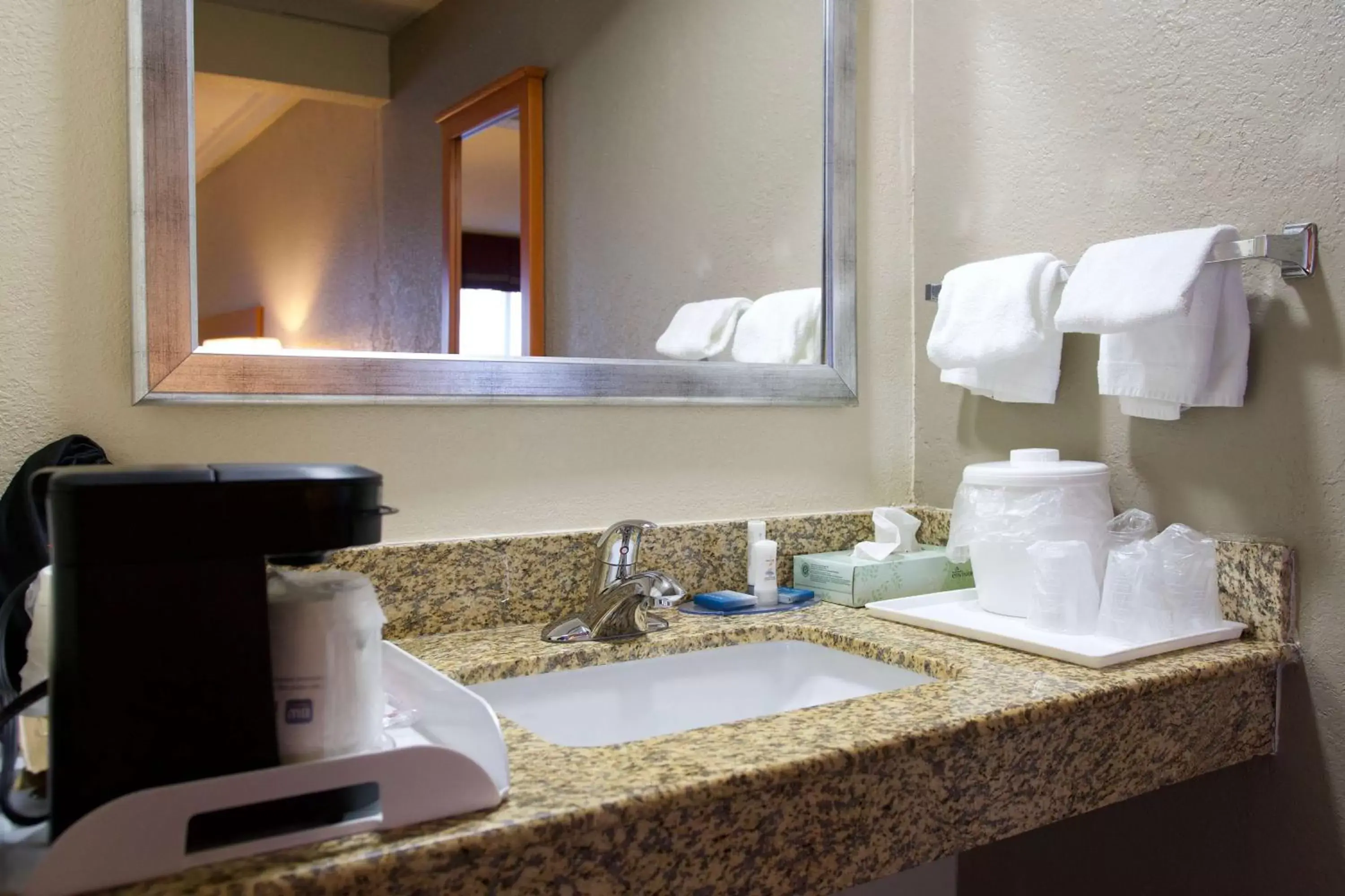 Bathroom in Best Western Thunderbird Motel