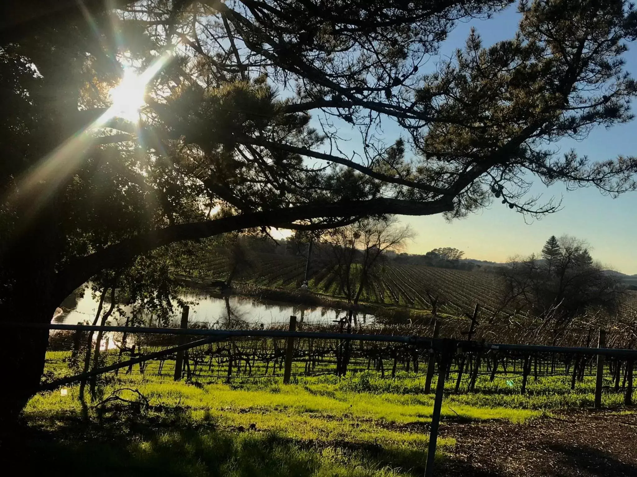 Natural landscape in Chardonnay Lodge