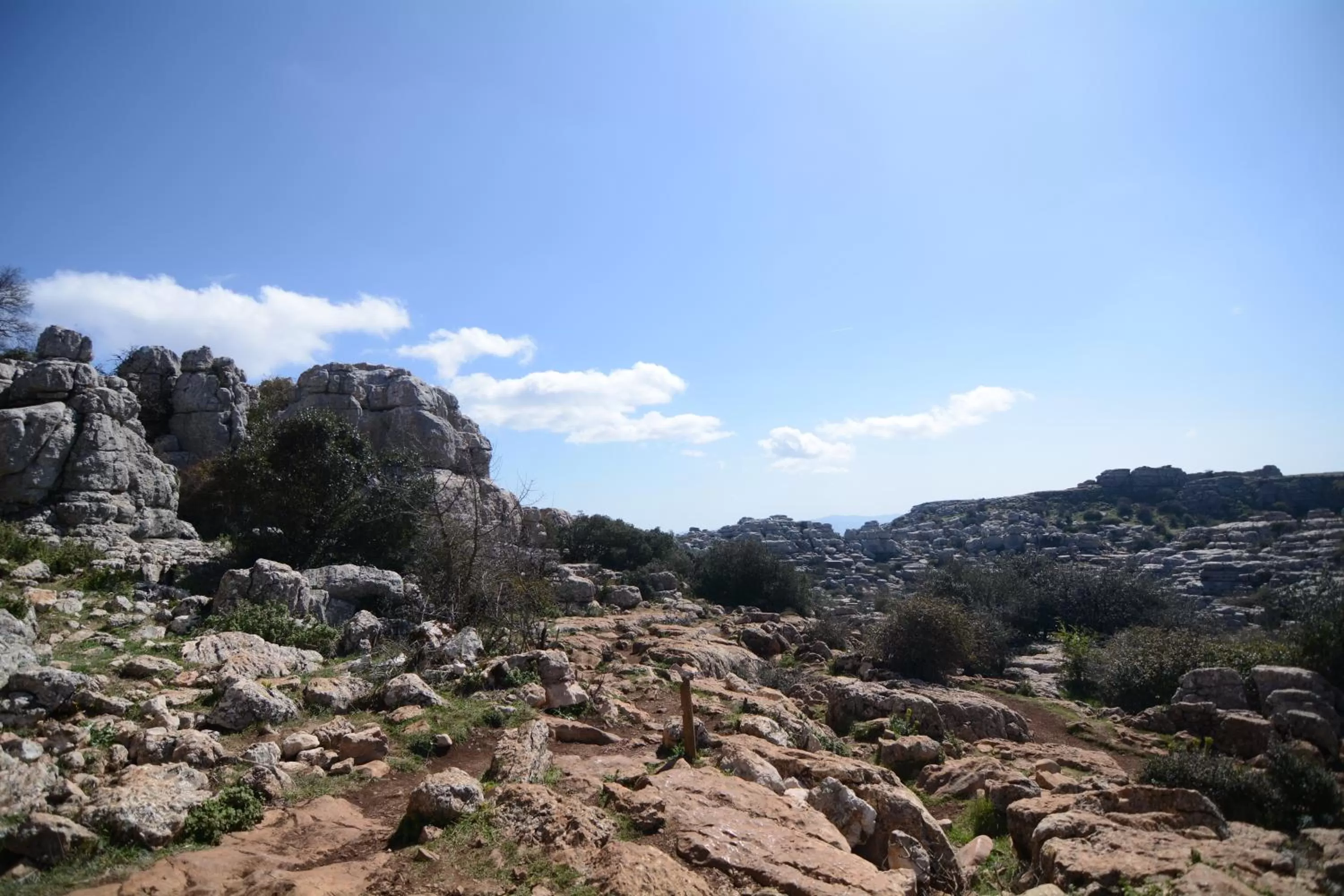 Natural landscape in Hotel Fuente del Sol