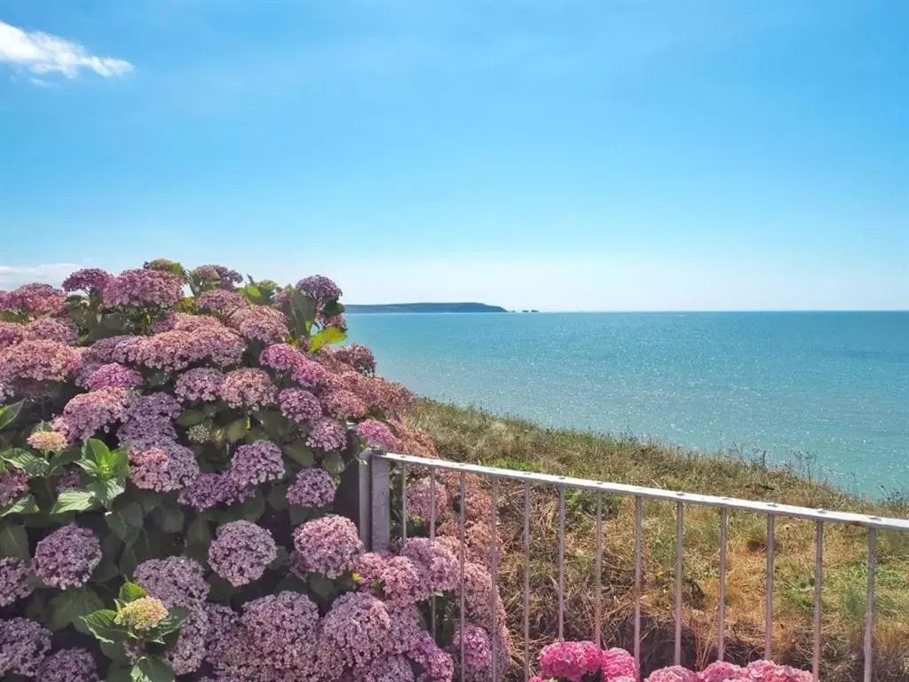 Other in Pebble Beach Seaview Restaurant & Rooms Other in Pebble Beach Seaview Restaurant & Rooms