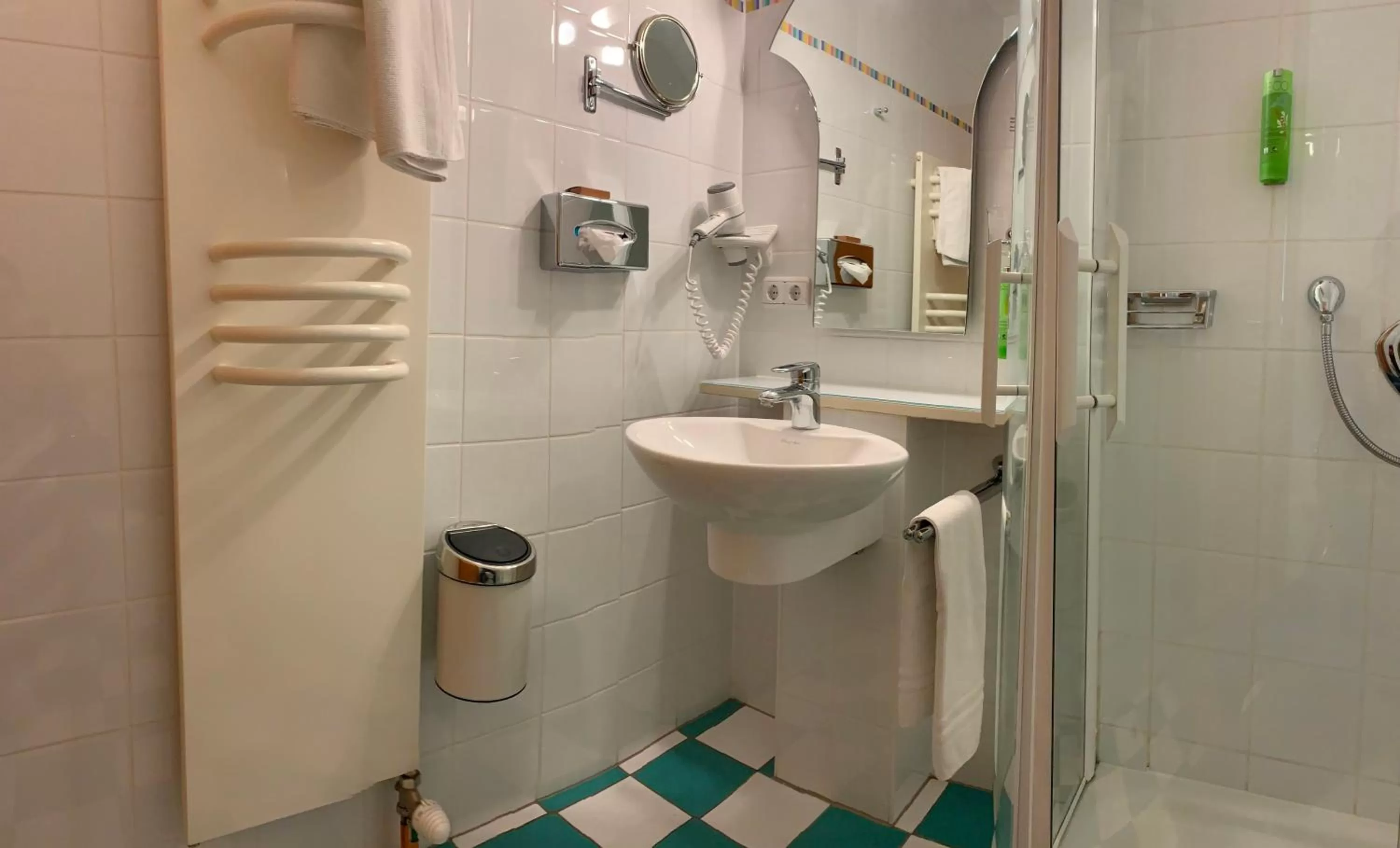 Single Room - Annex in Hotel am Torturm