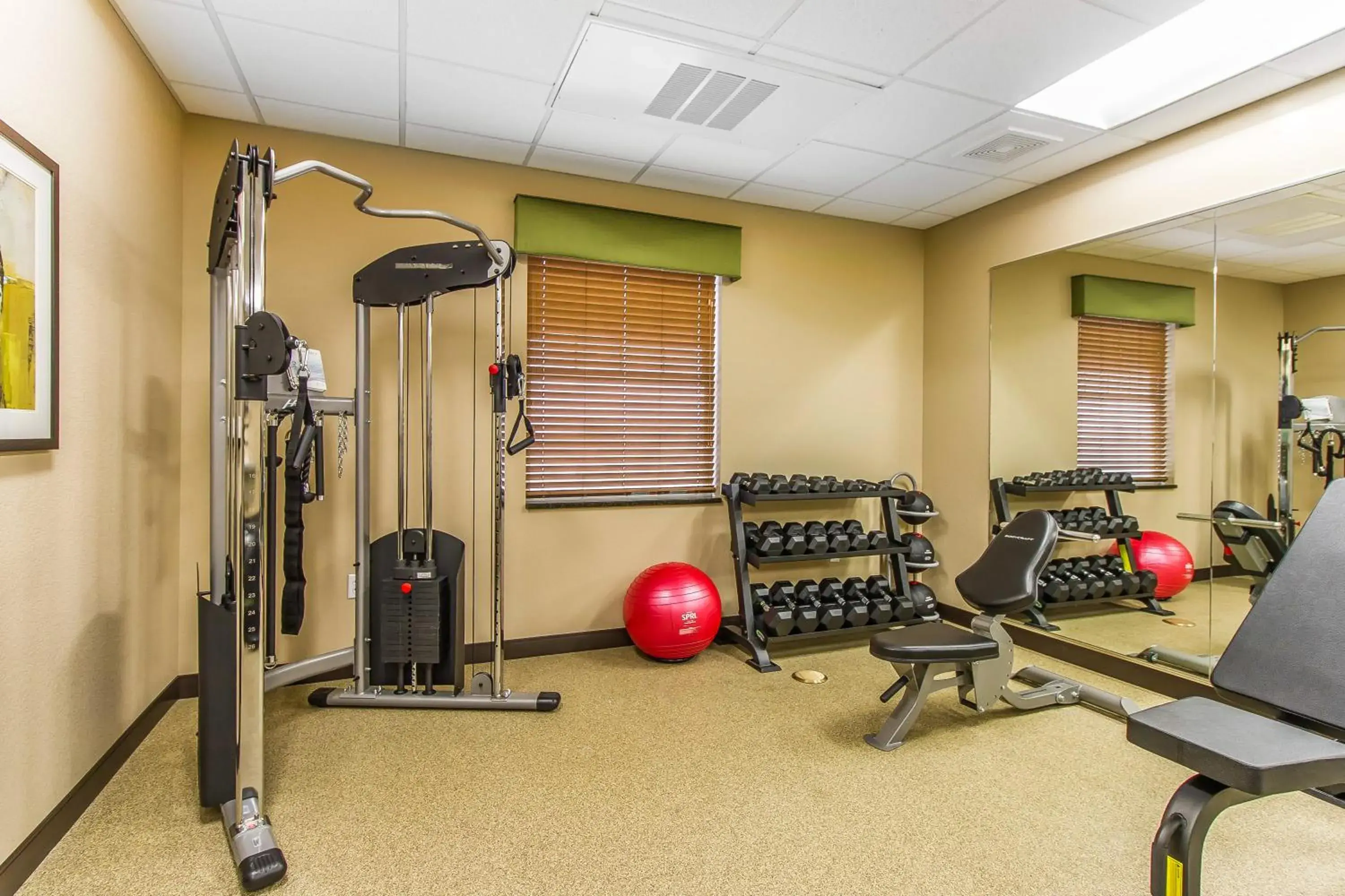 Fitness centre/facilities, Fitness Center/Facilities in MainStay Suites Stanley