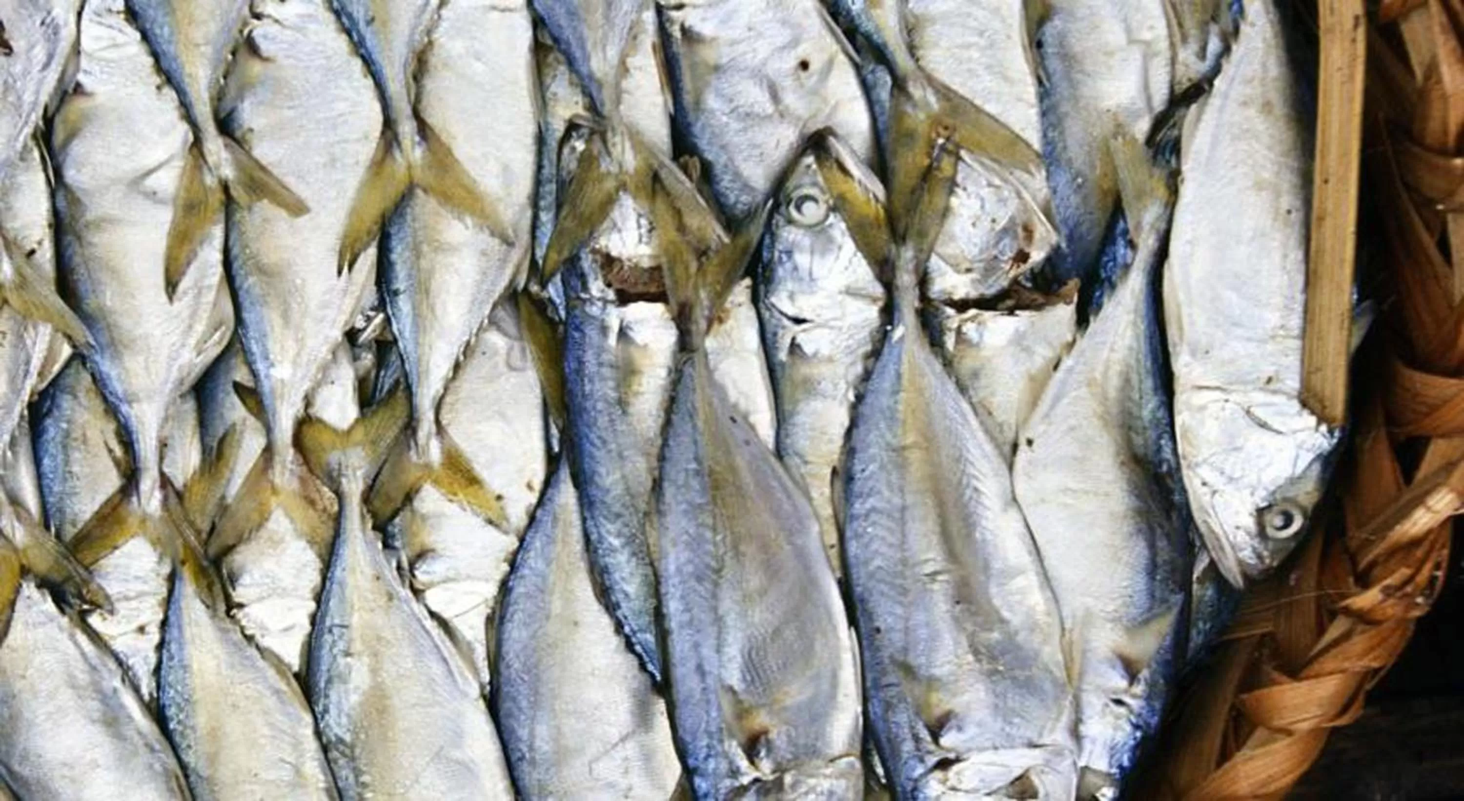 Shopping Area in Side Walk Hotel