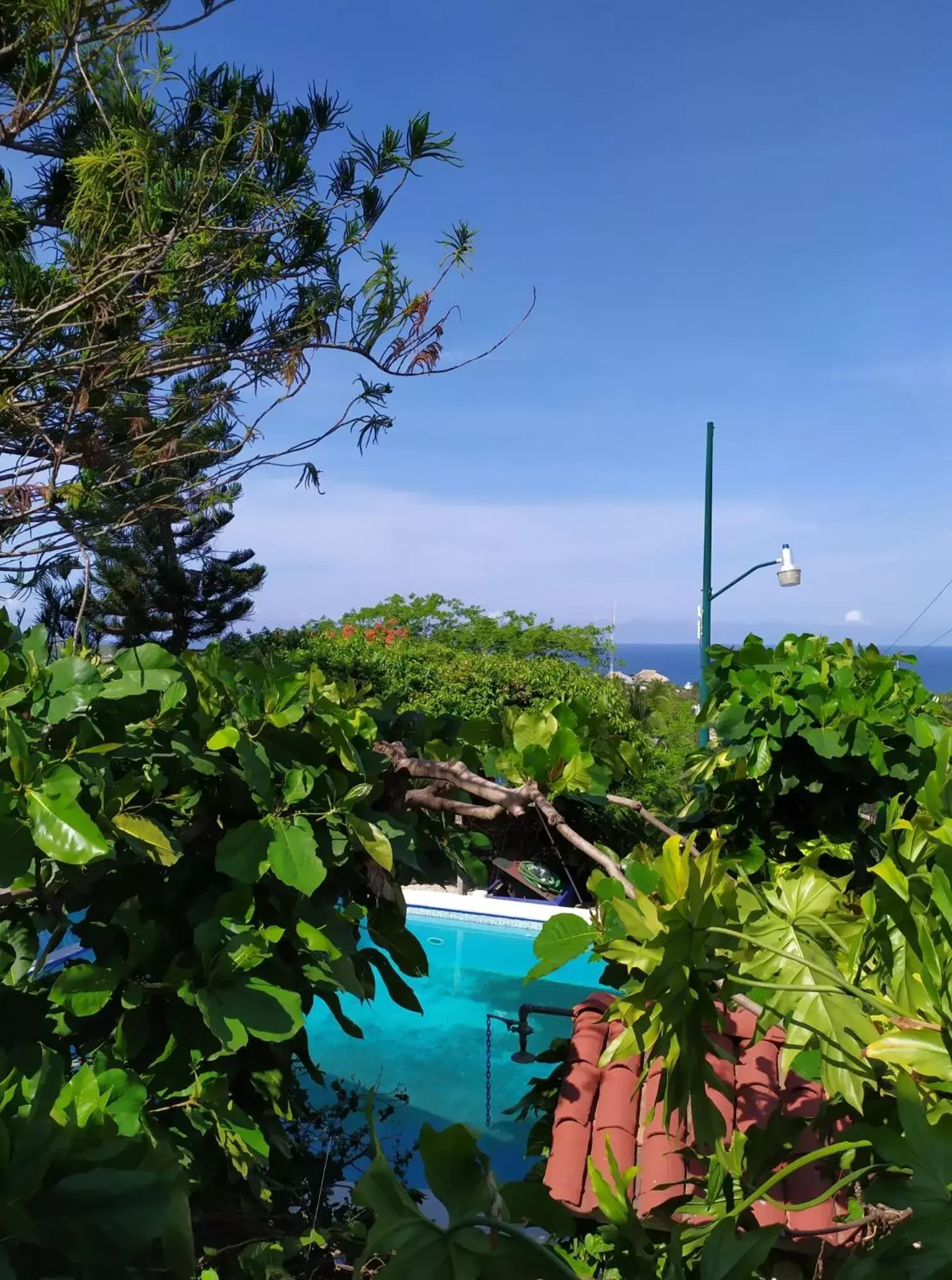 Swimming Pool in Casa Terranova