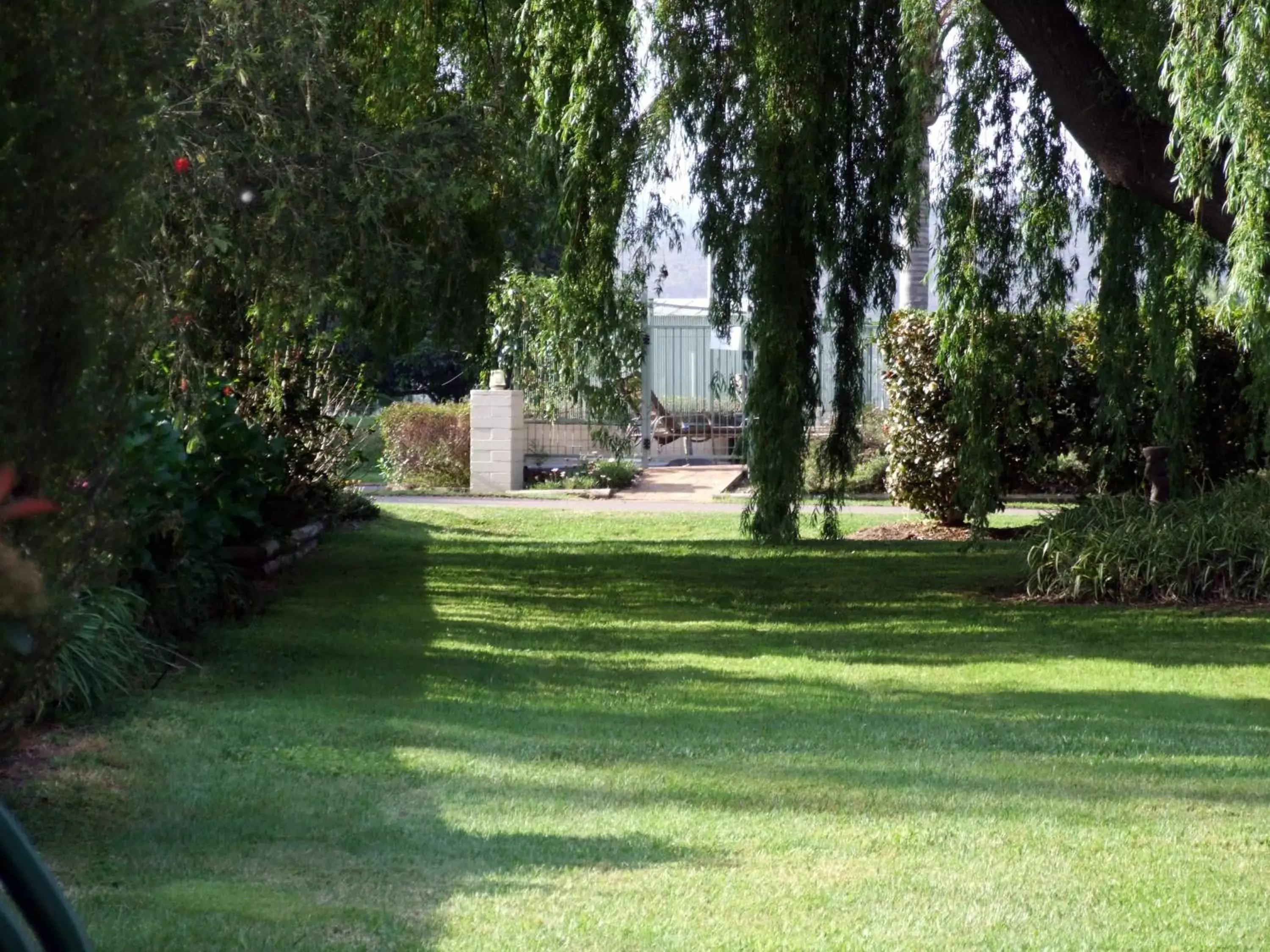 Garden in Moruya Motel