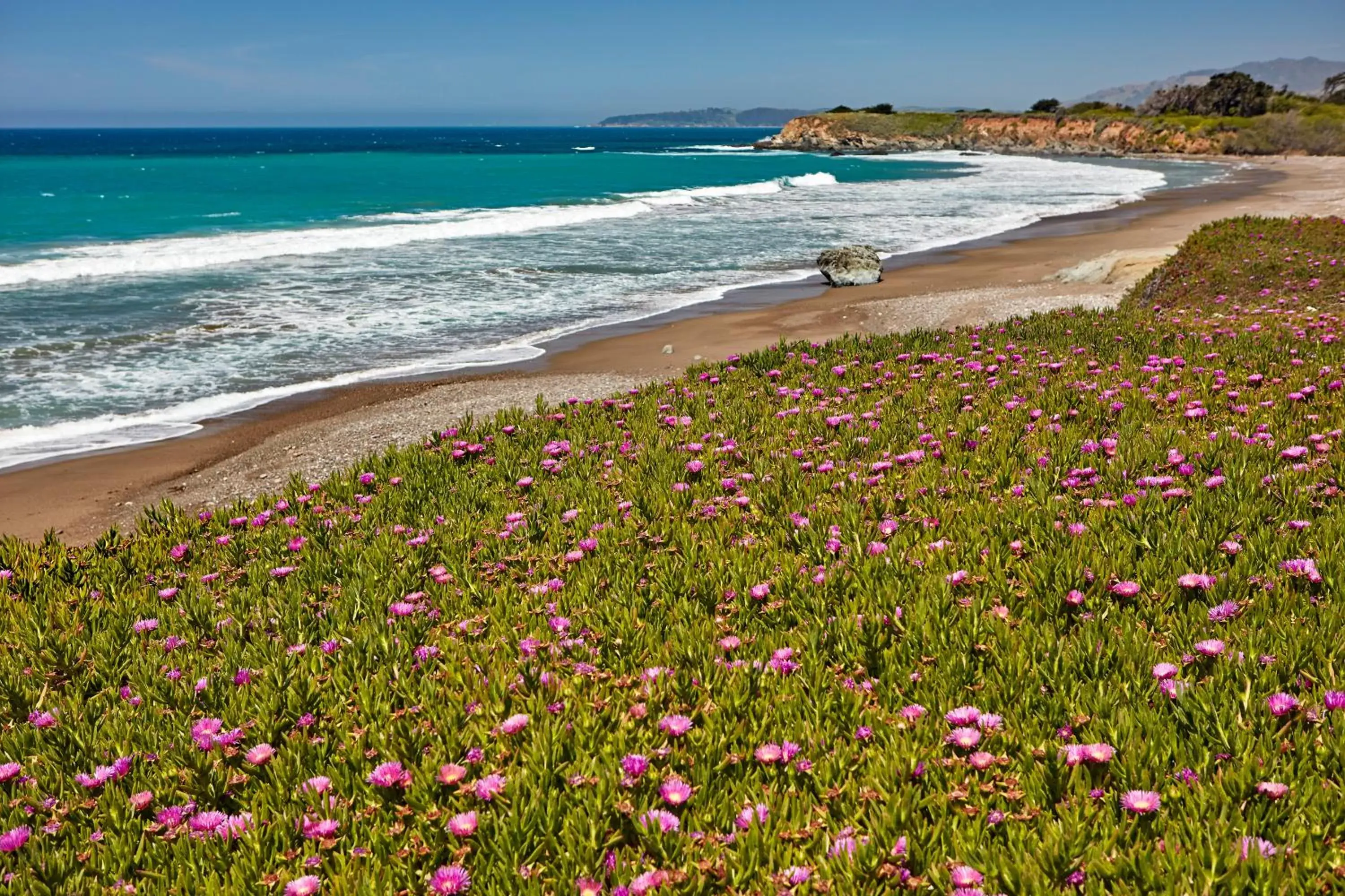 Natural landscape, Beach in Cavalier Oceanfront Resort