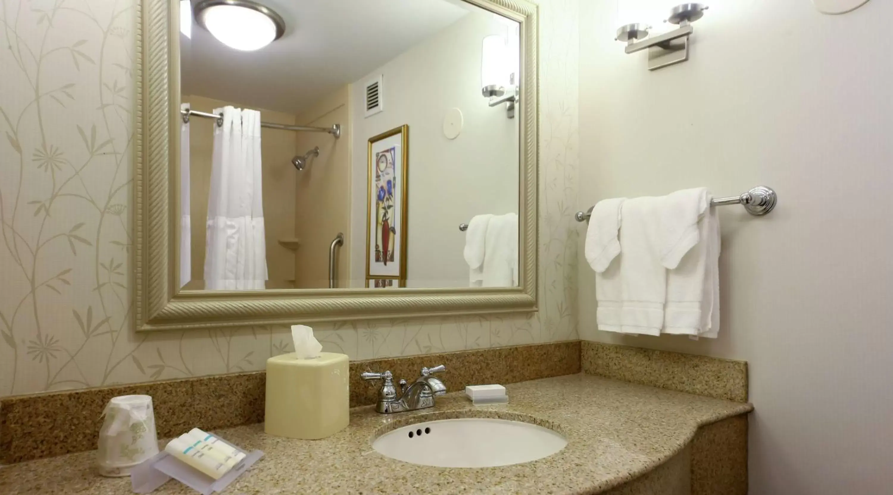 Bathroom in Hilton Garden Inn Secaucus/Meadowlands