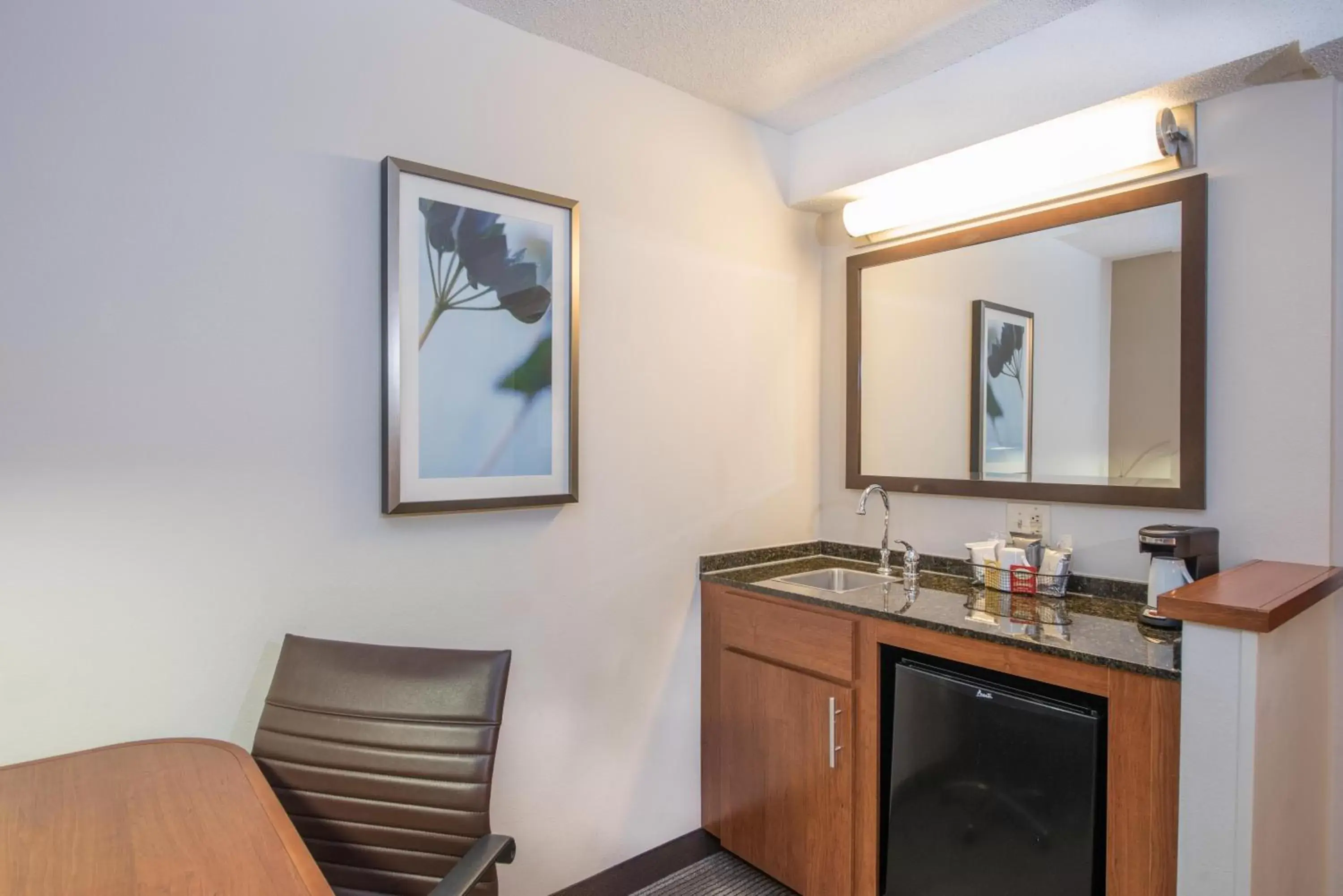 King Room with Sofa Bed - High Floor in Hyatt Place Eden Prairie